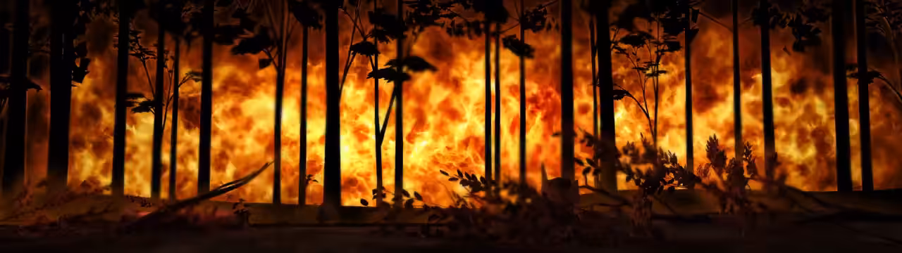 Ground Fires
