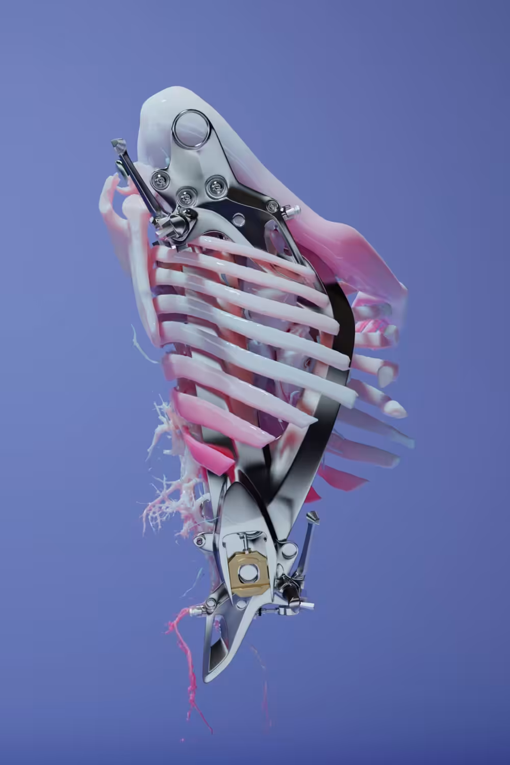 ANATOMY_01