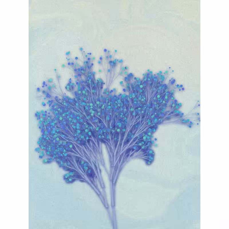 Garden of the Hesperides #16
