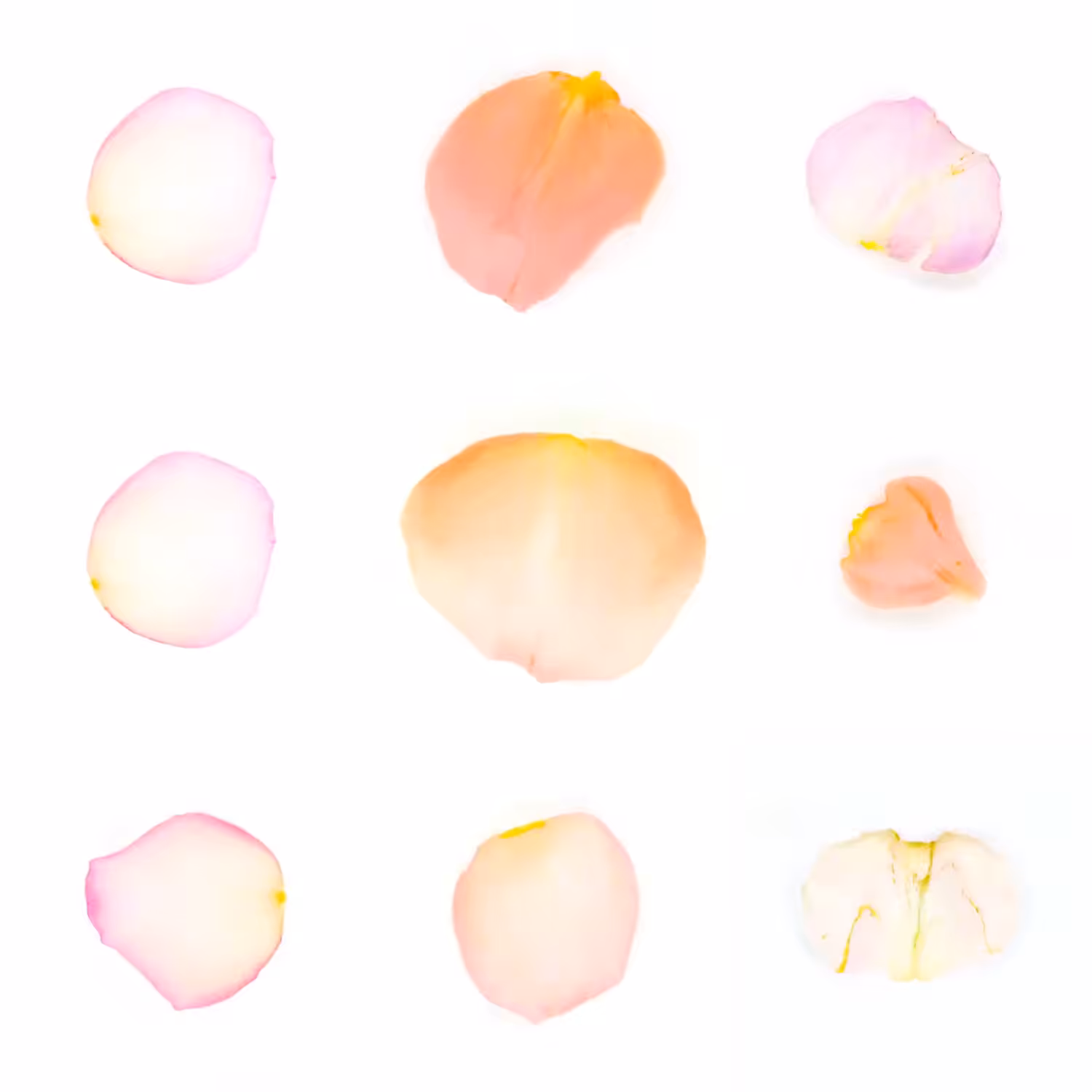 Infinite Petals 3x3#862