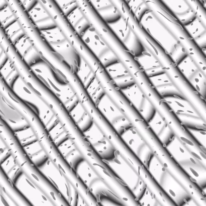 Nucleotide Polymorphism #70