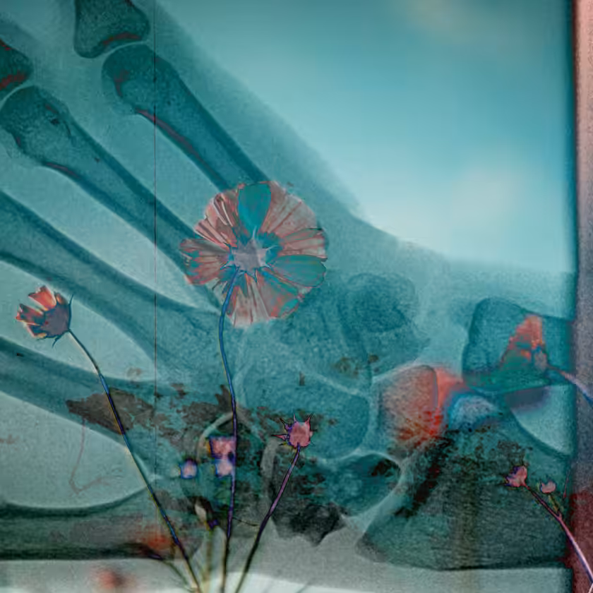 flowers and death #23