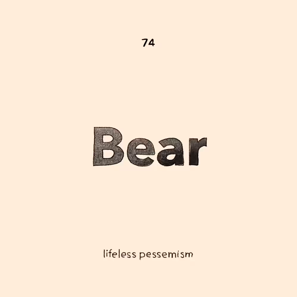 Bear