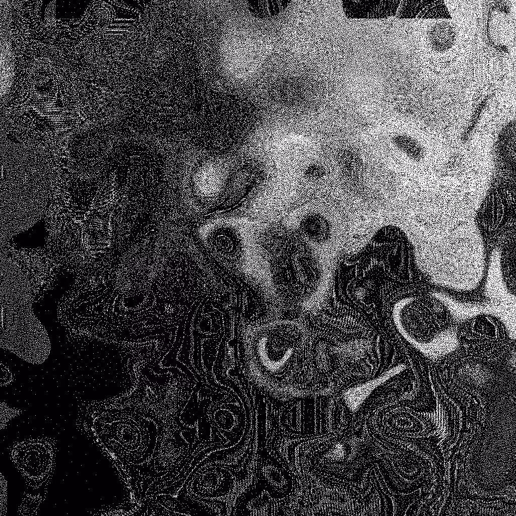 HIDDEN IN NOISE: Noise #673 