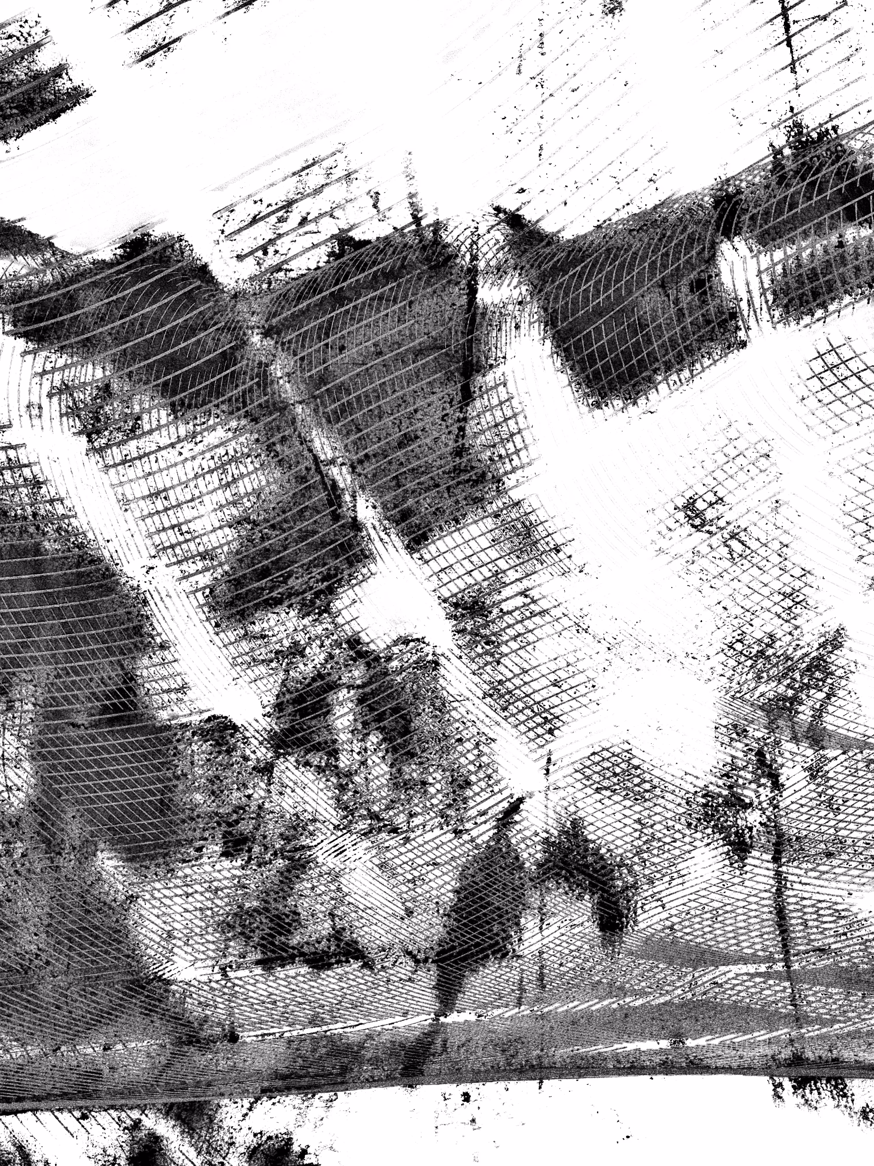 Light Has Told Me [homage to YRDGZ]