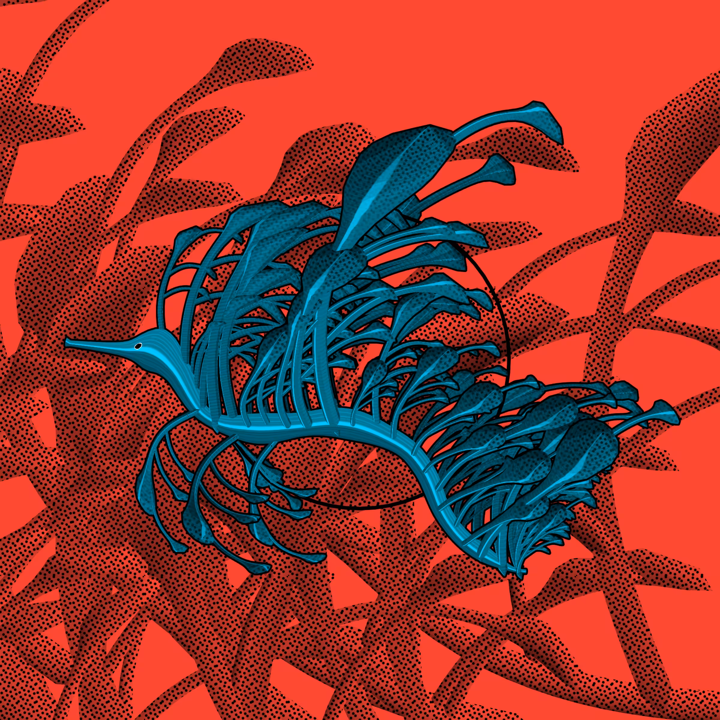 Seadragons #810