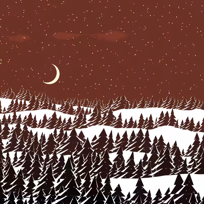 Winterland #94