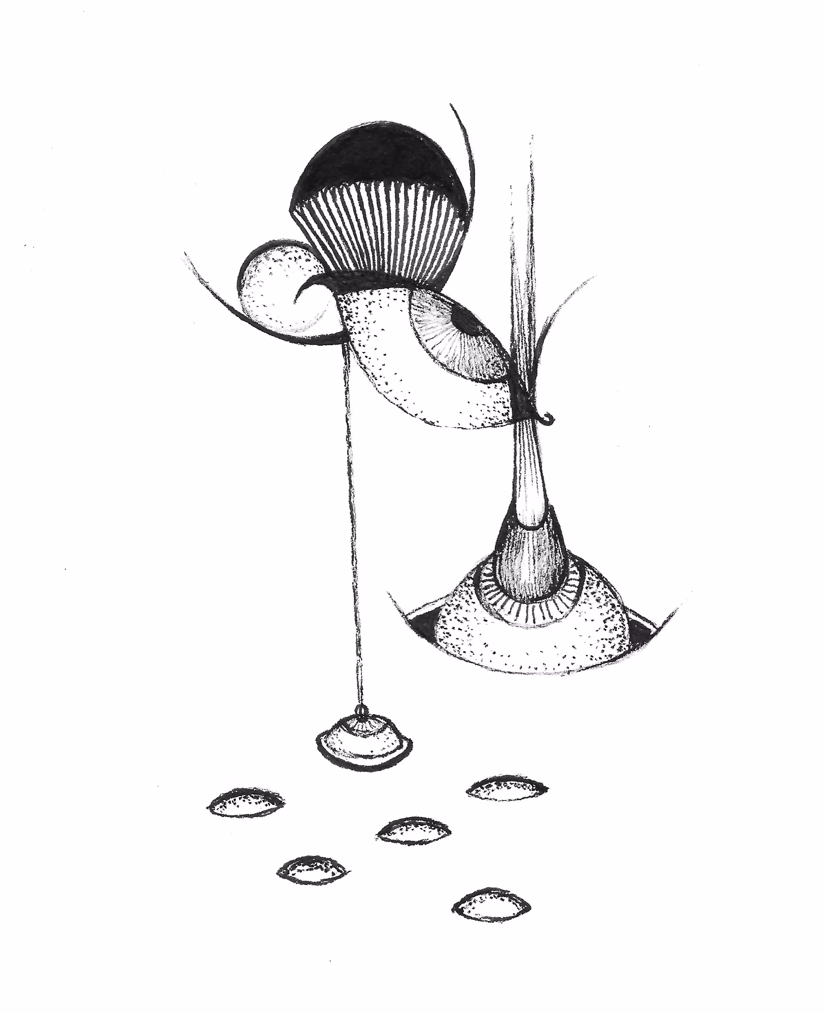 SKETCH PERCEPTION