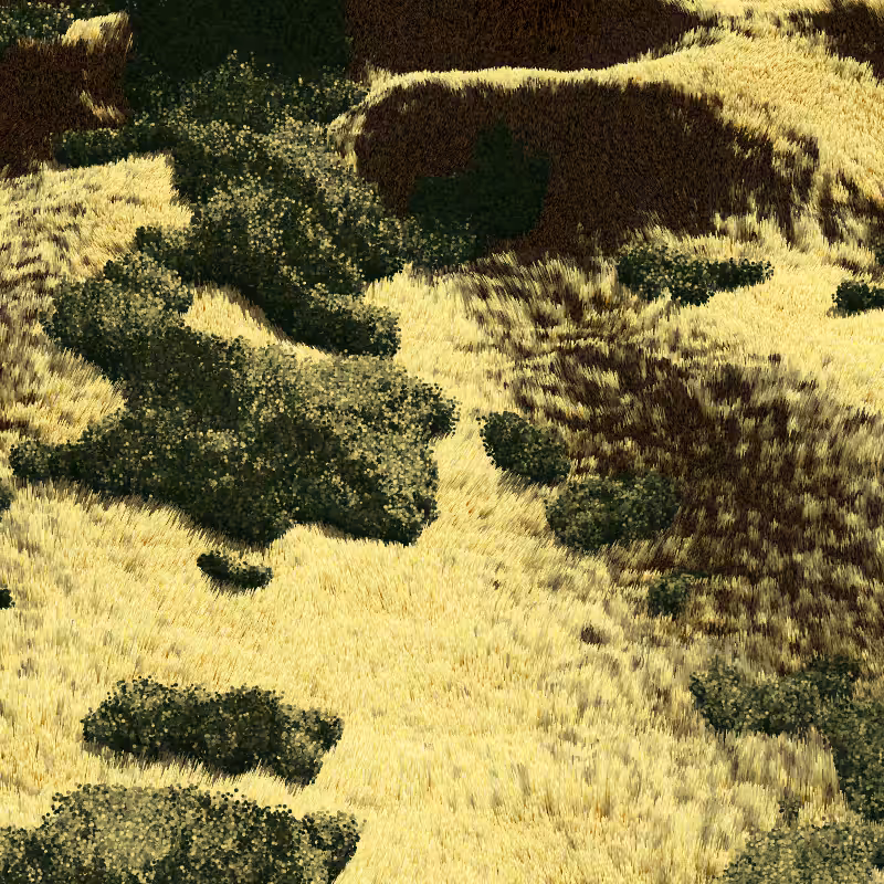 California Hills in Late Sun #174