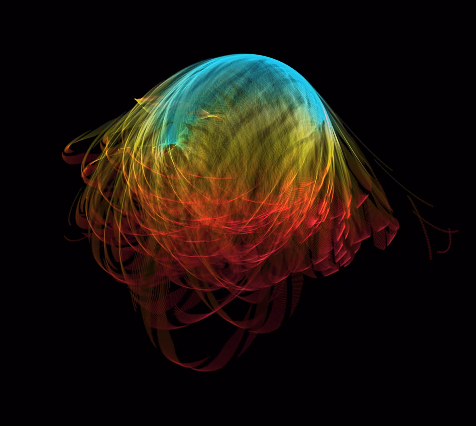 Rainbow jellyfish