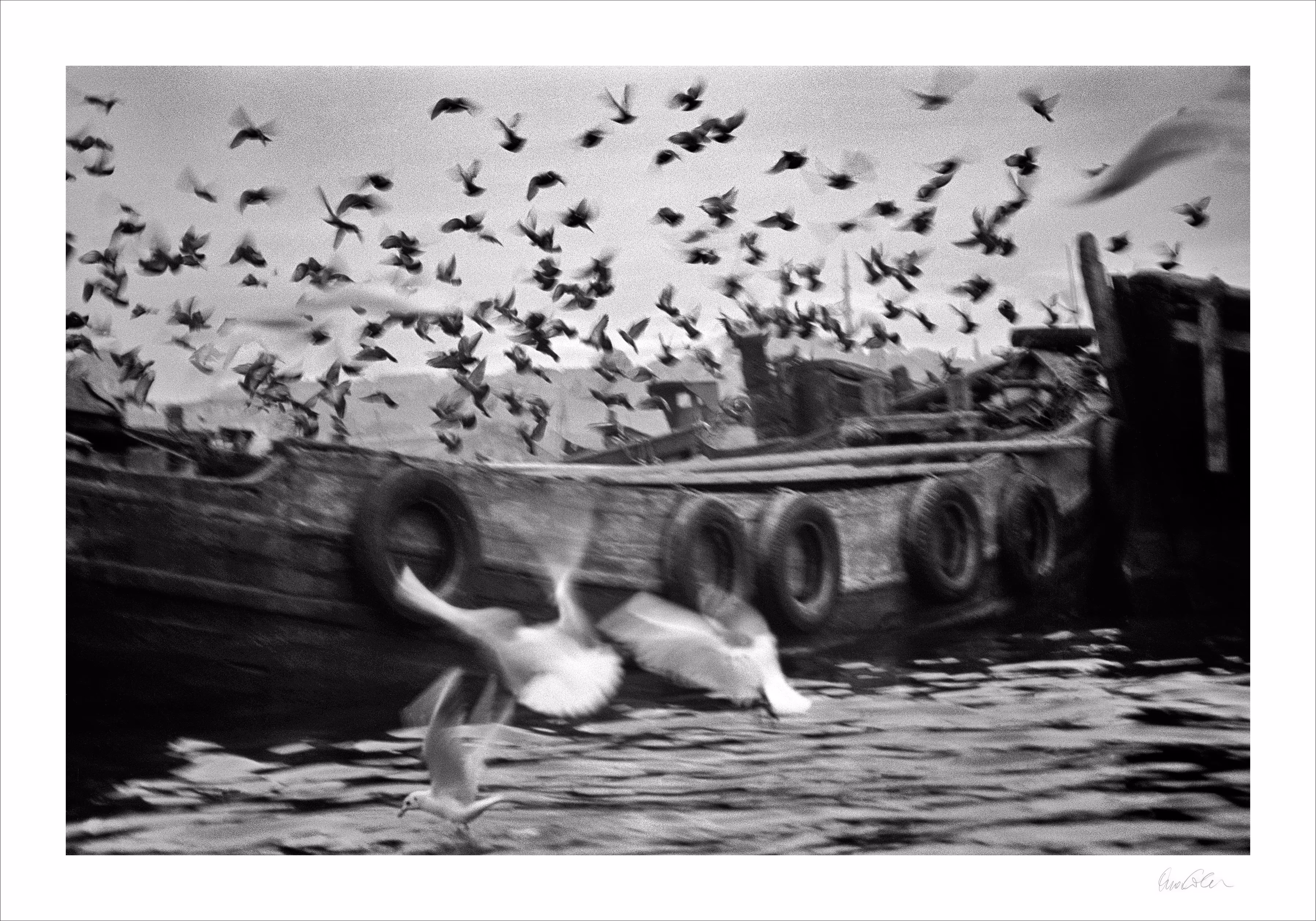 Ara Guler Istanbul 002