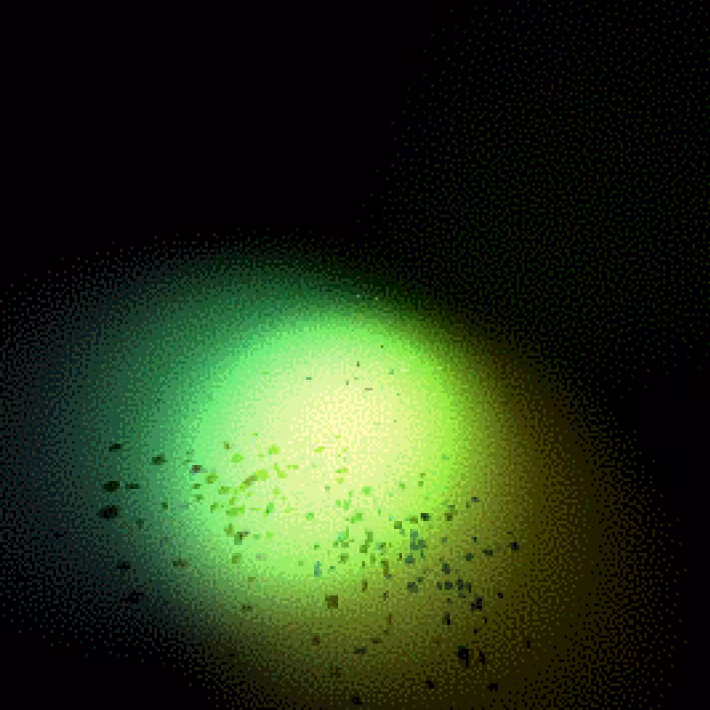 Moths #31