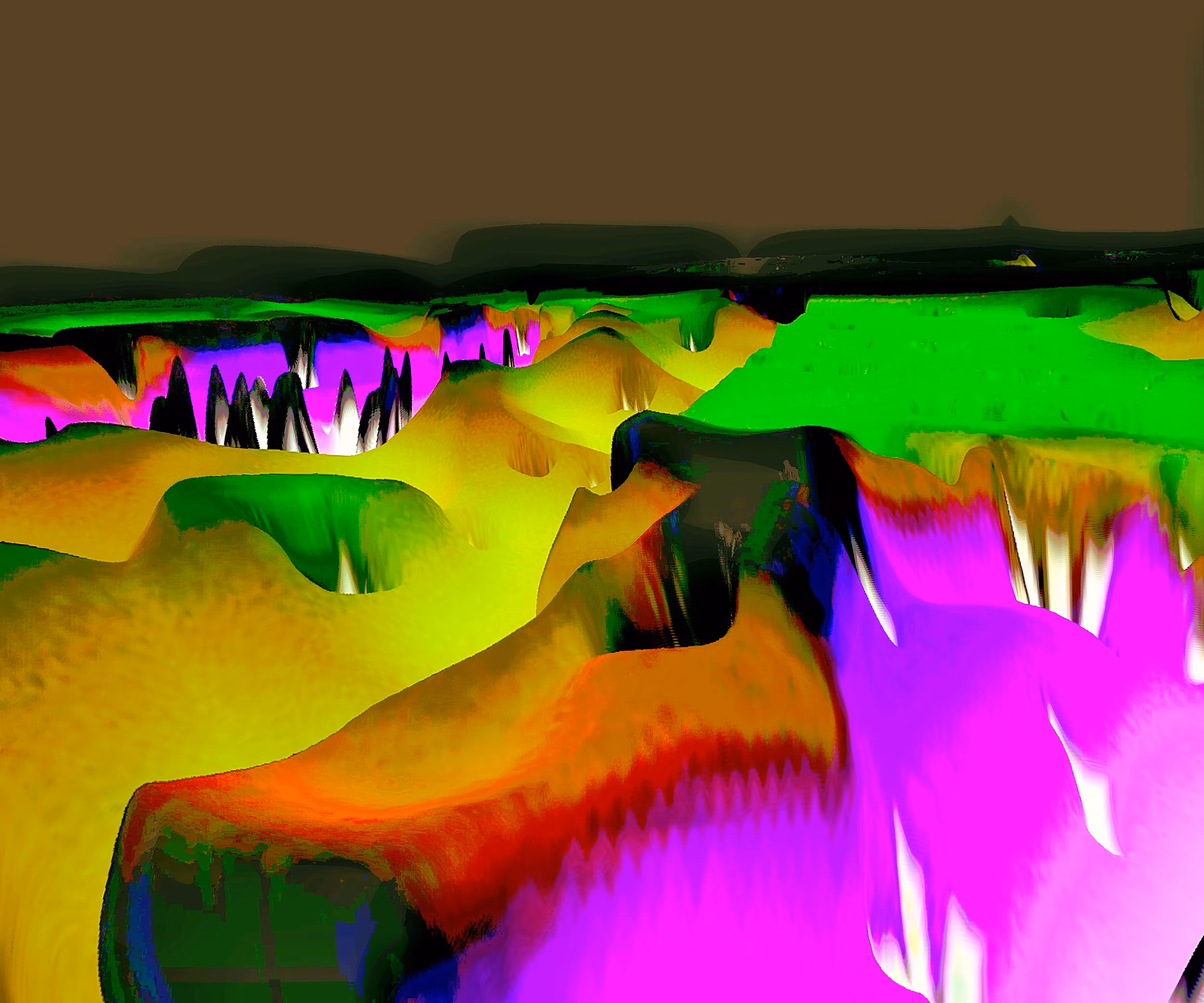 Solid Jungles