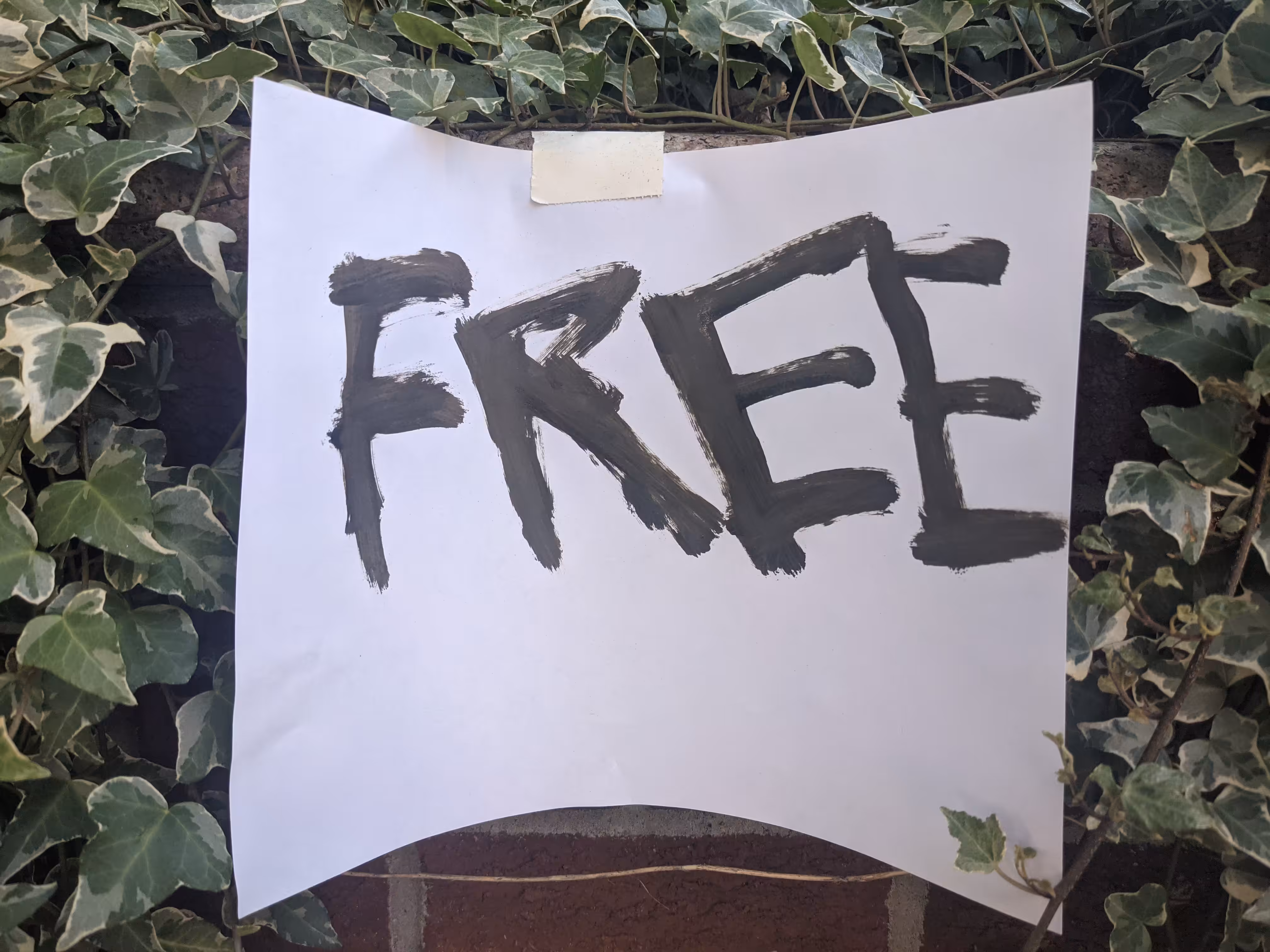 Free0 #106