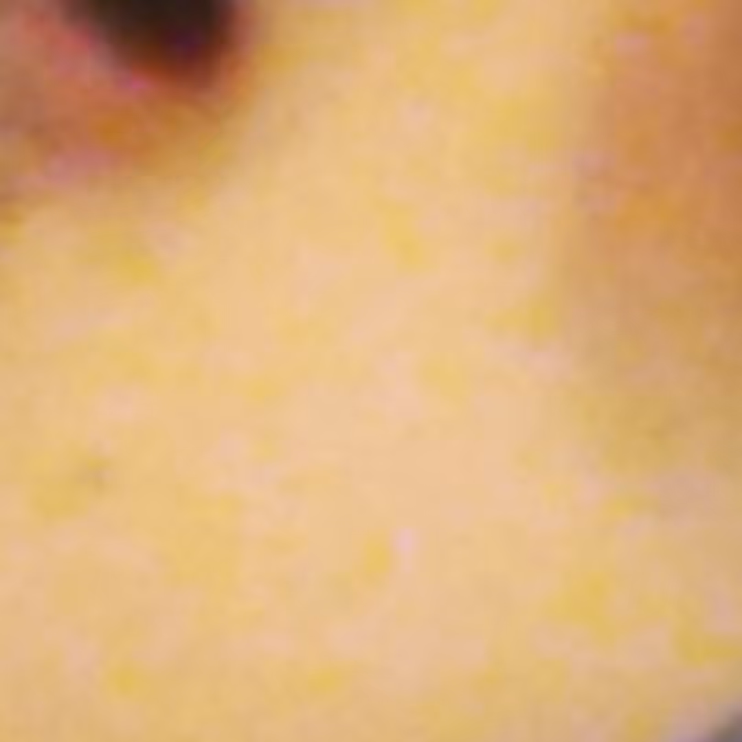 DanIsNFT 3/12