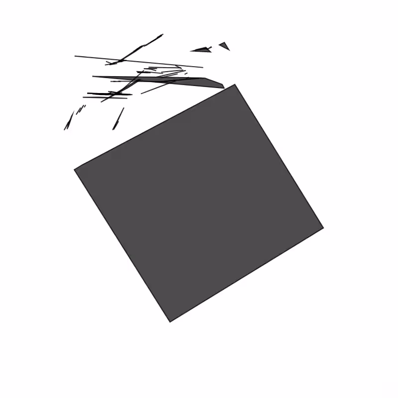 Fracture #239