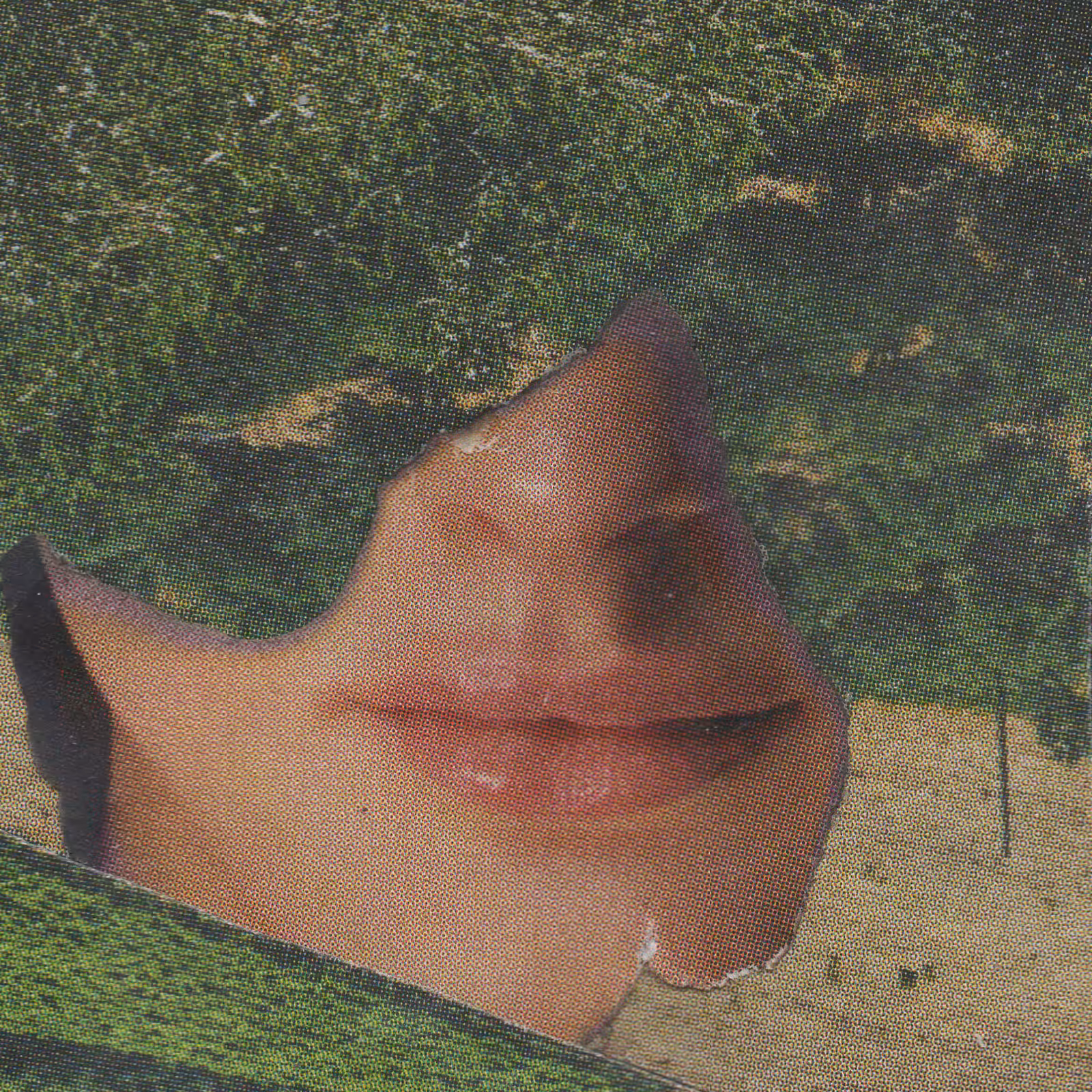 1mouth analog #219