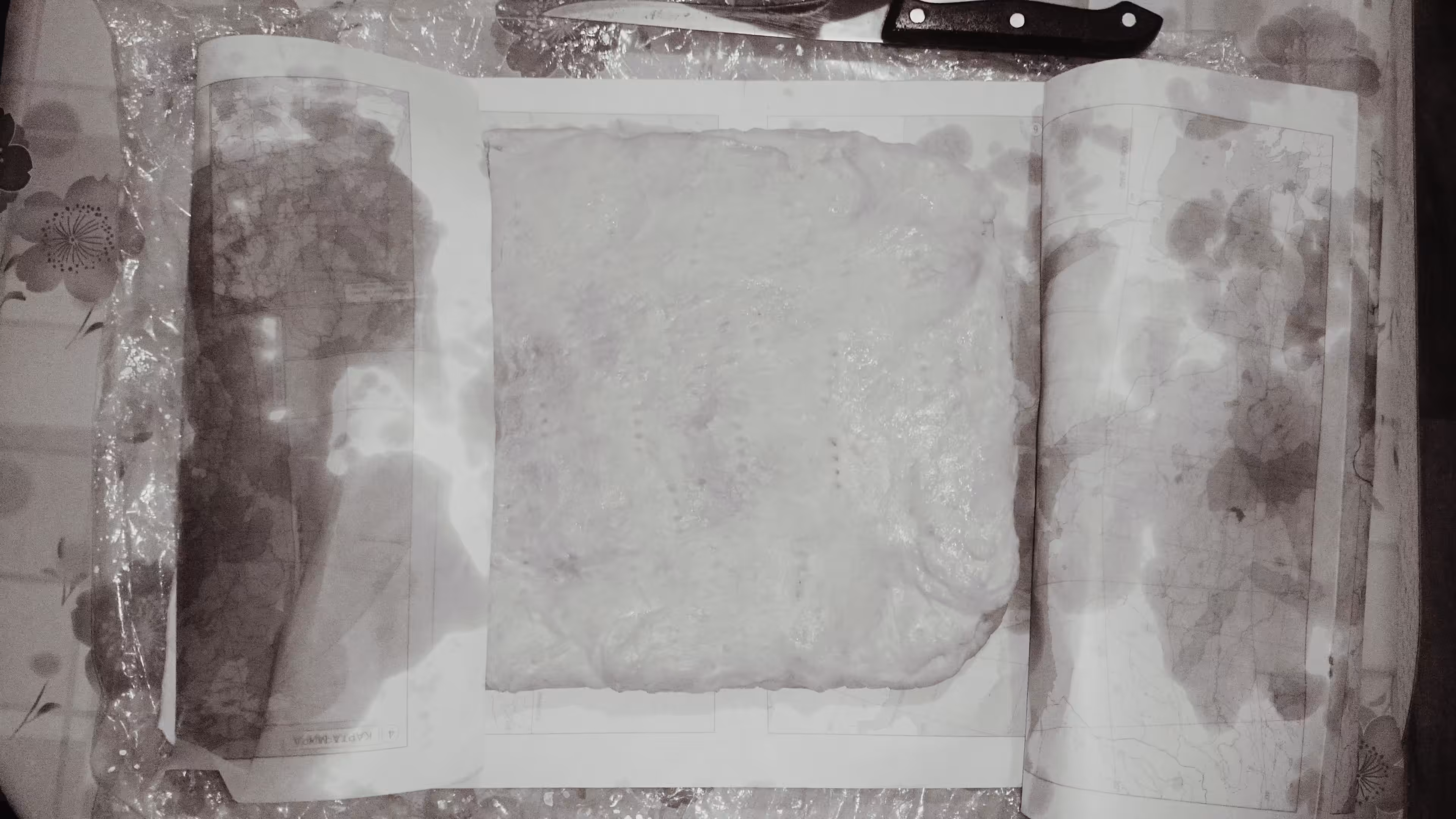Photos: Pie