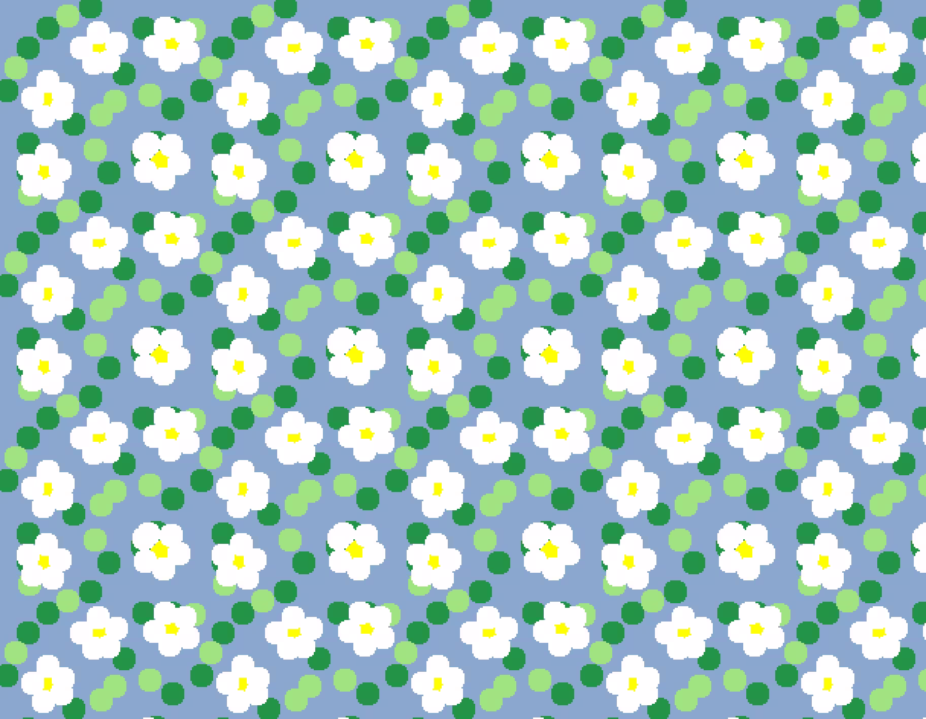 daisies