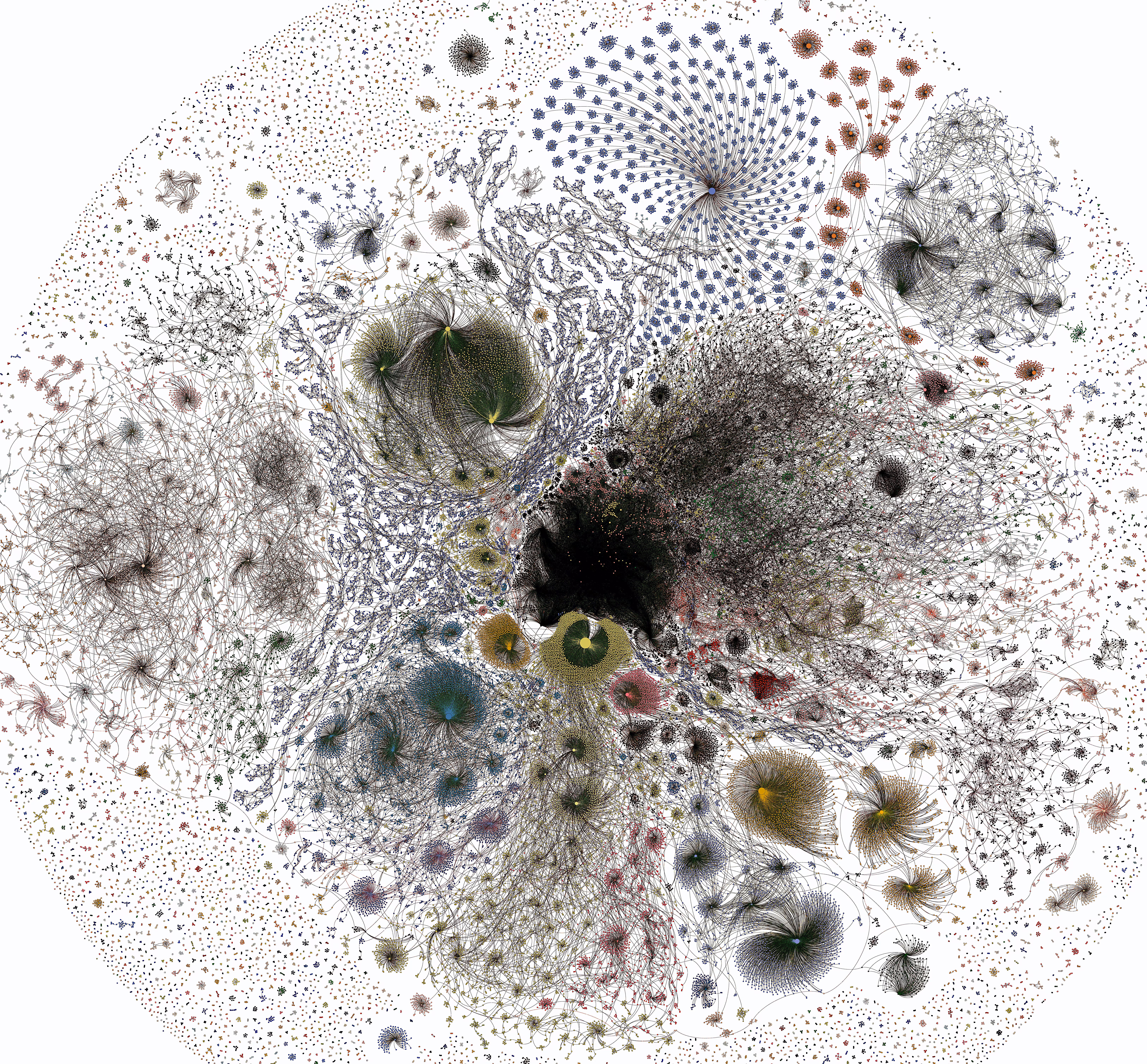 Diversity of life