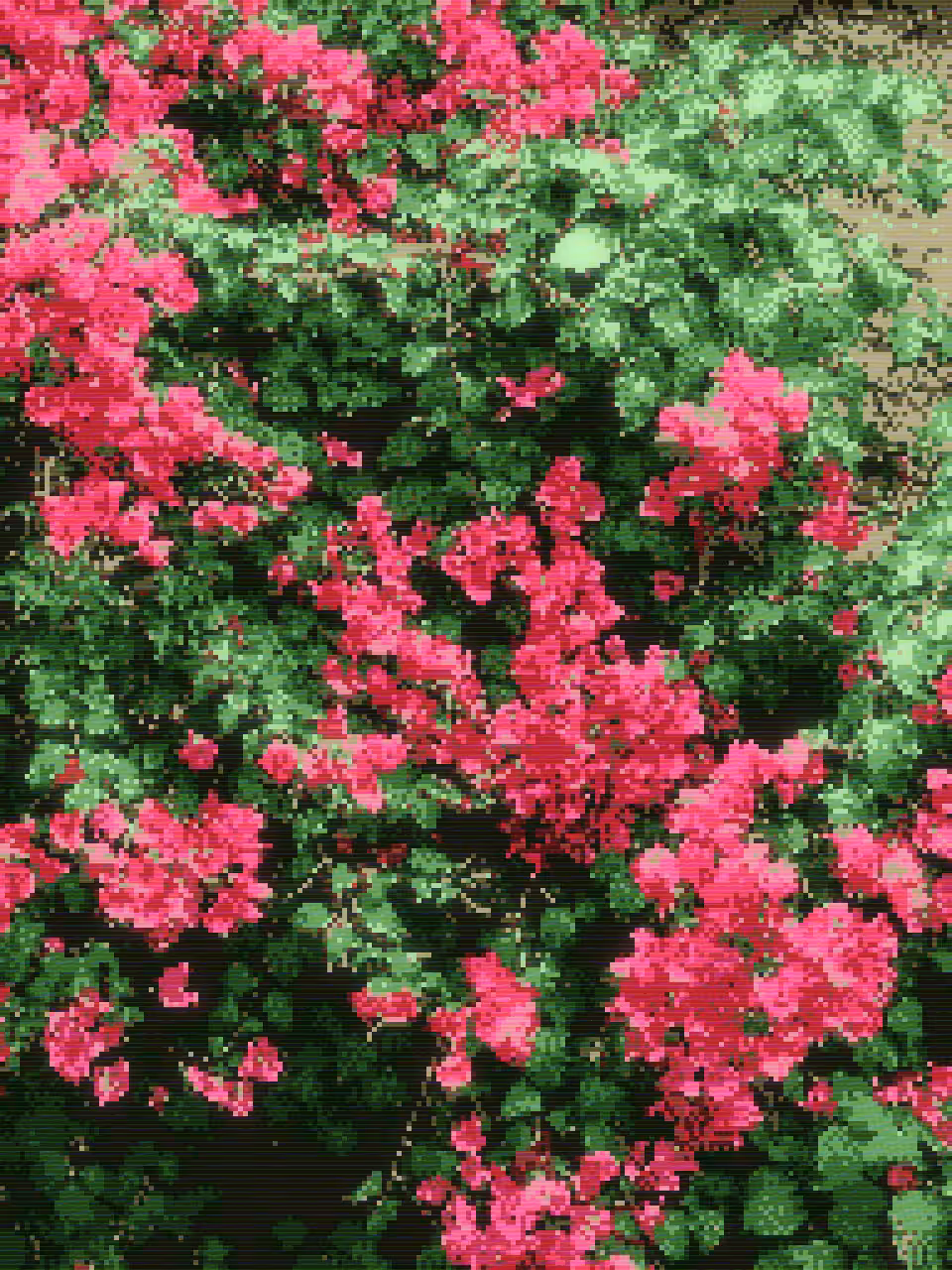 flor II