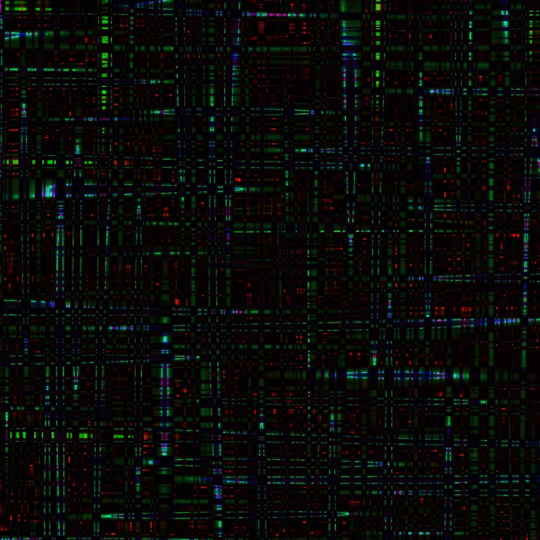 Weft 01