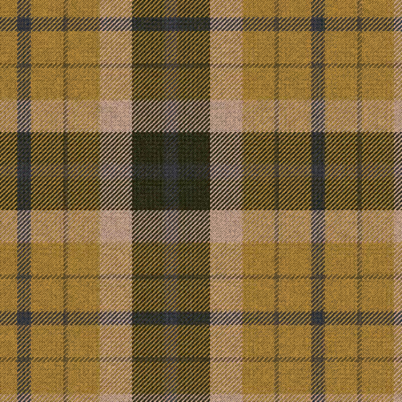 Tartan Cloth #28
