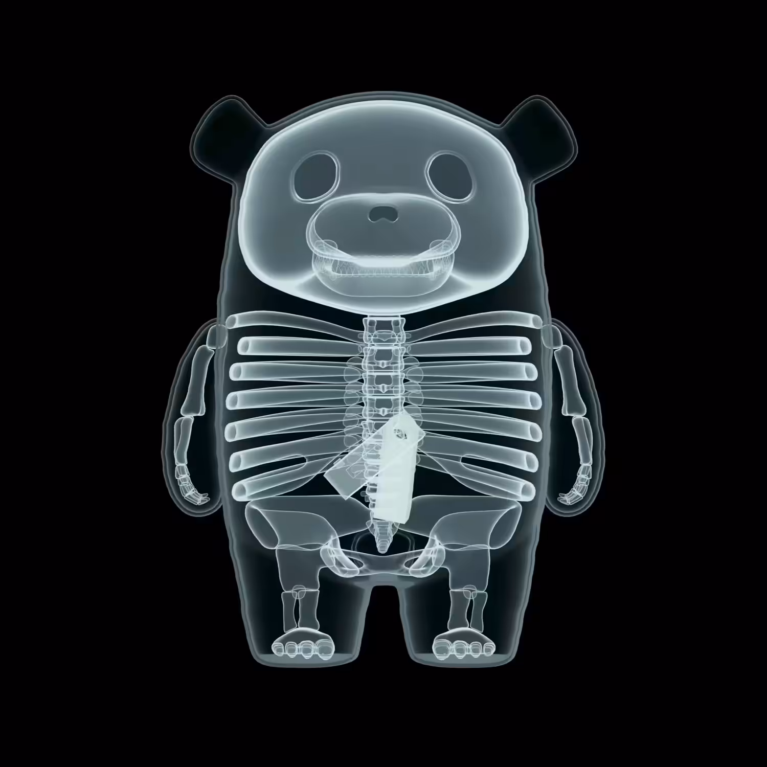 #036 X-Rays