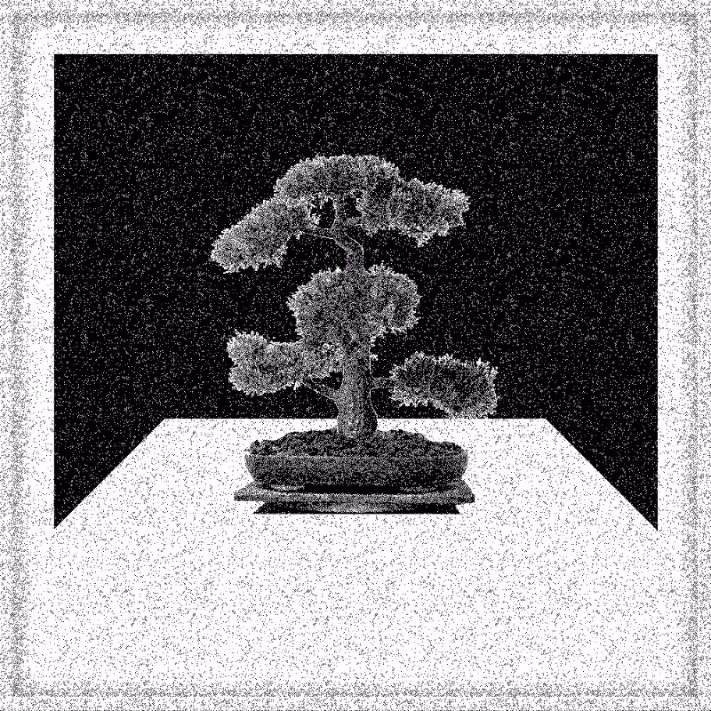 Bonsai Bonanza #62