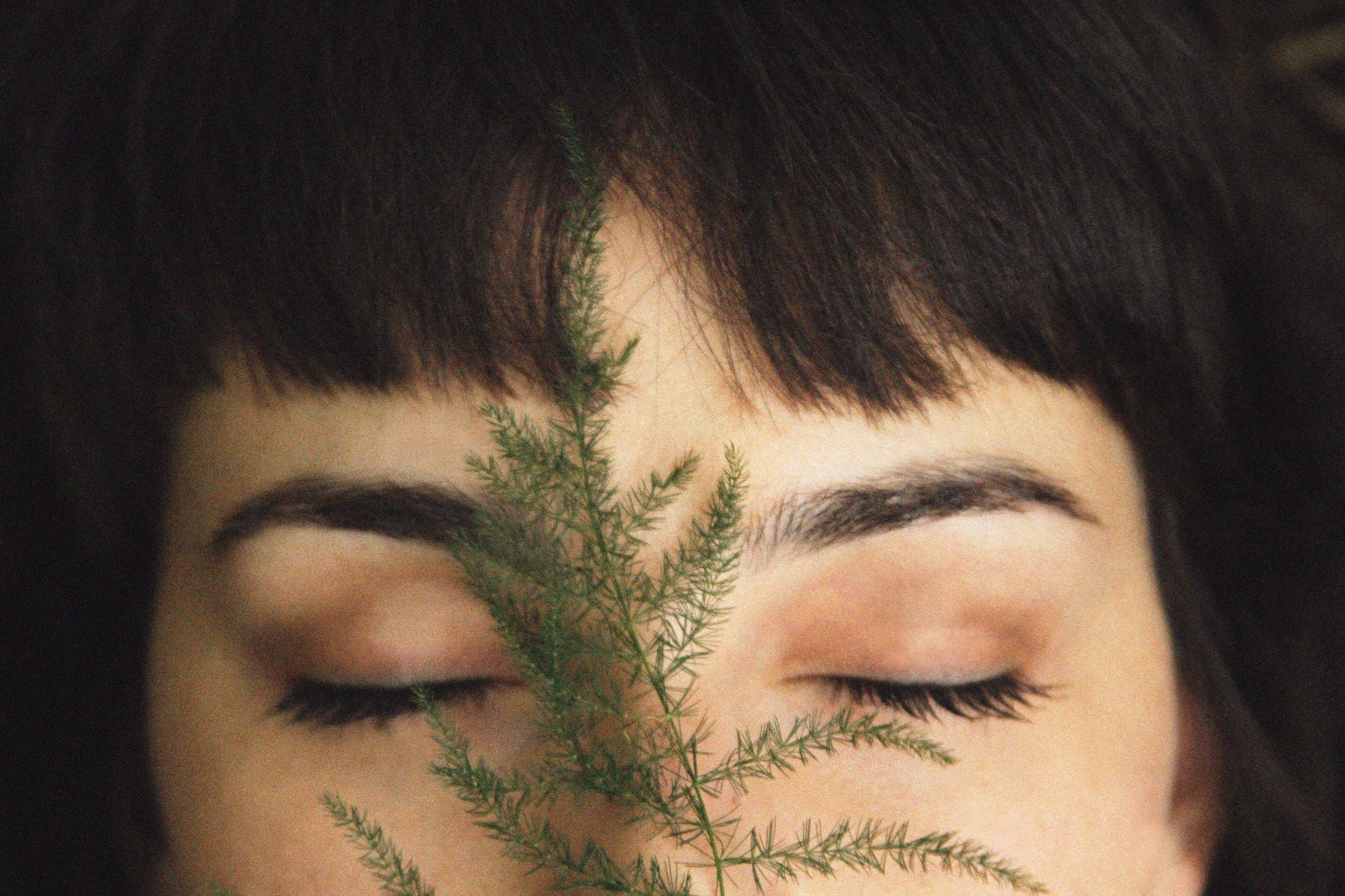 Doce Jardim II