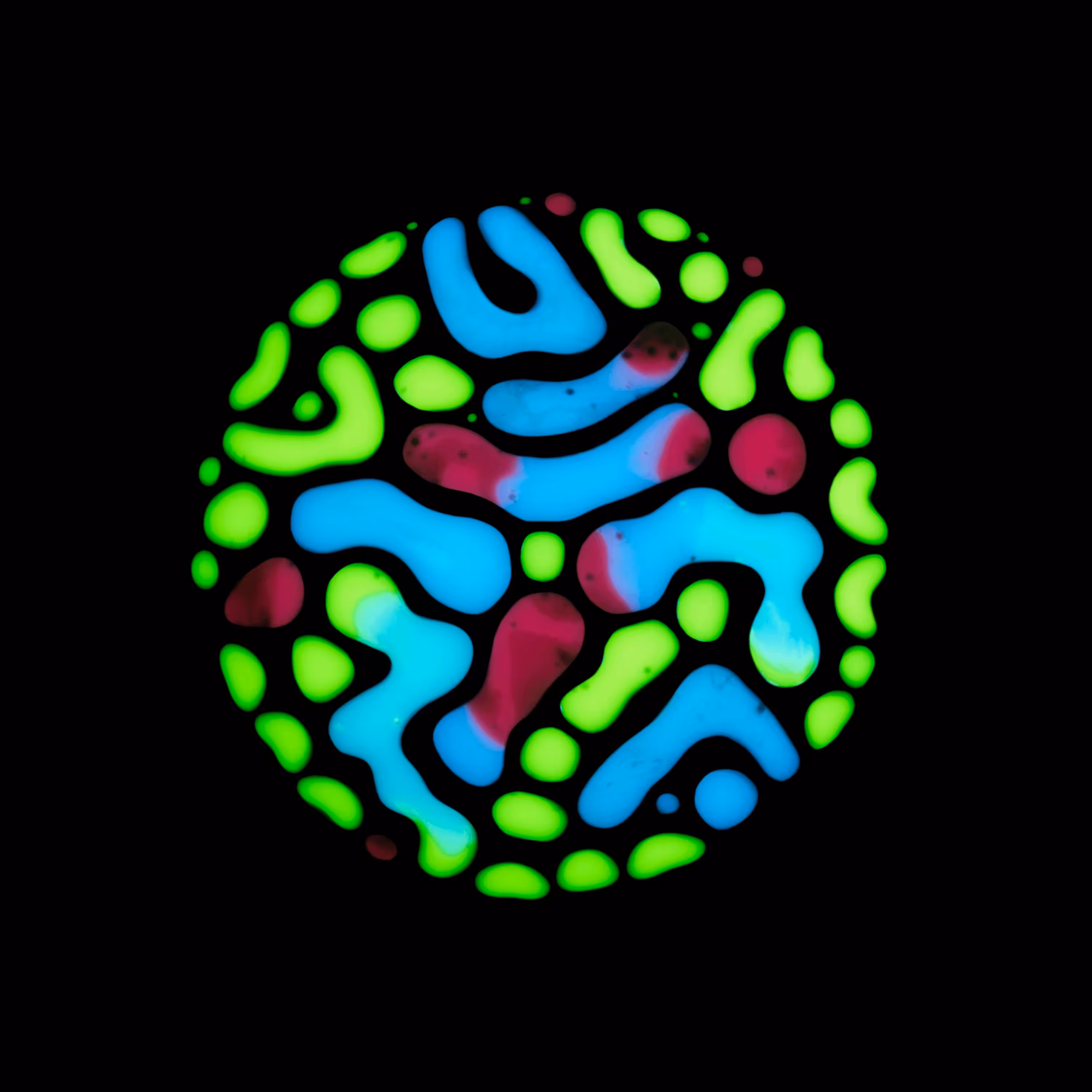 Haematopoiesis #51