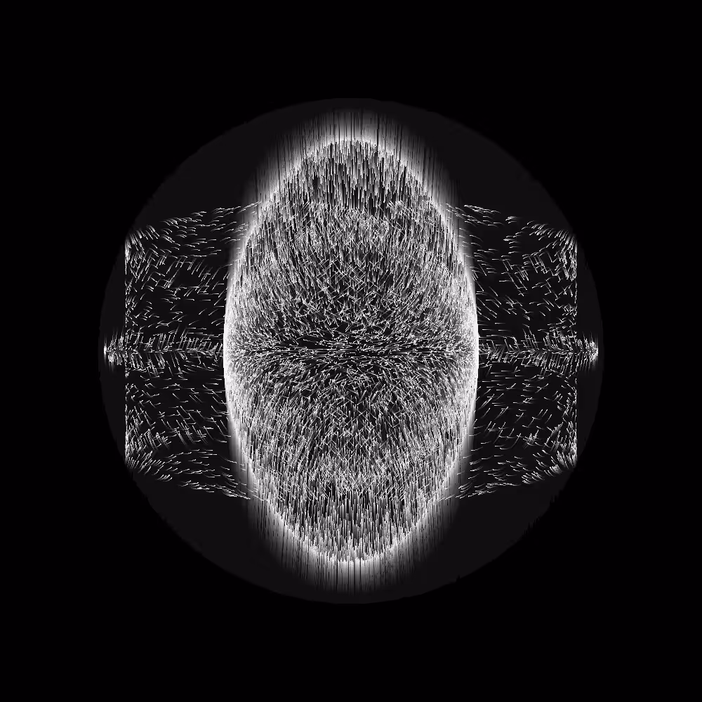 Gen Art Initiative: Attraction #12