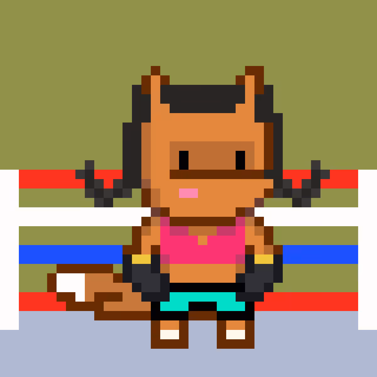 Boxer#5