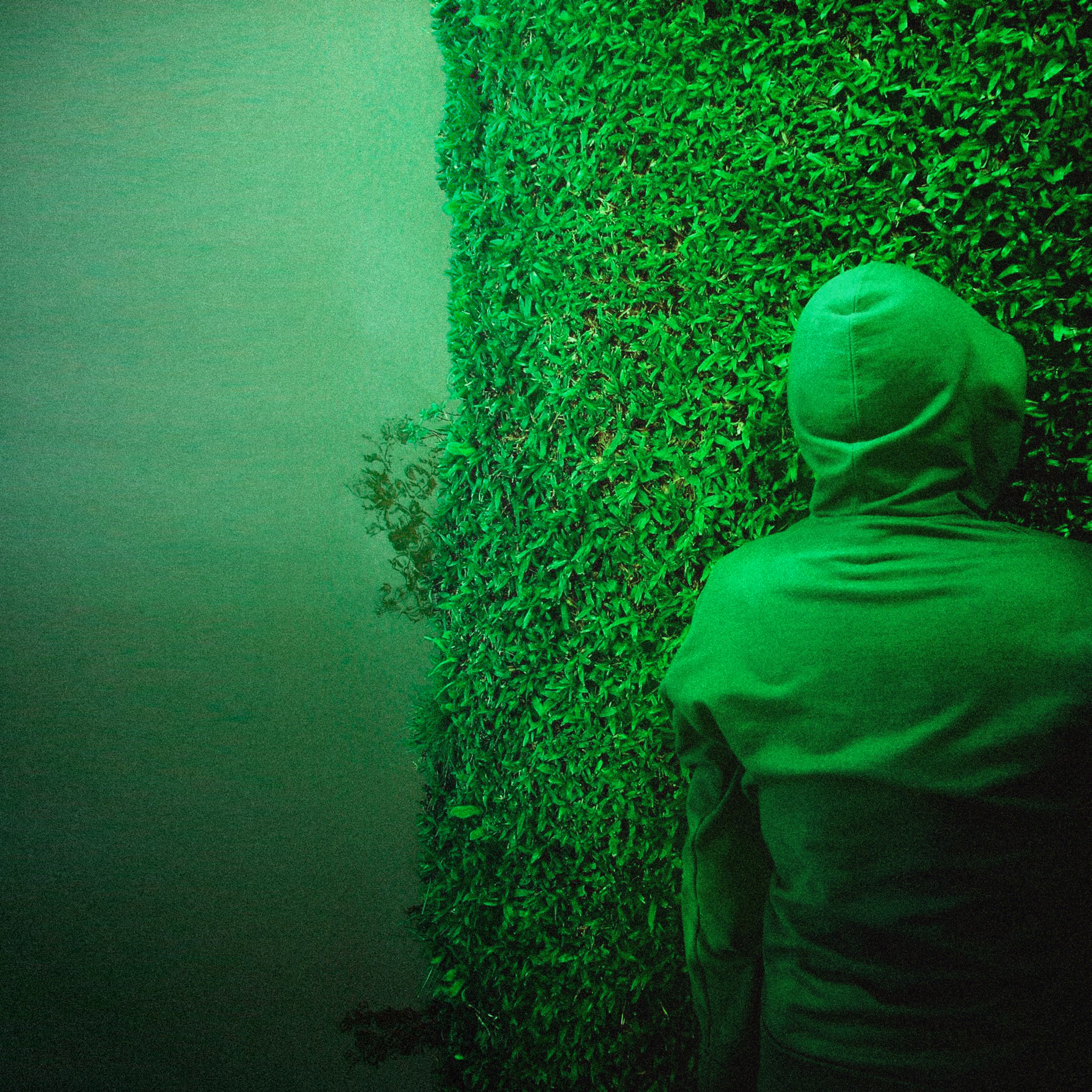 Untitled 13 | From Mimicry Series