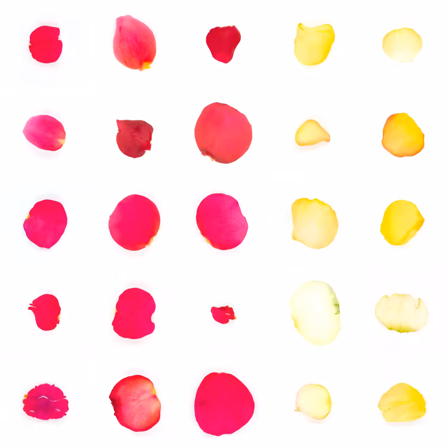 Infinite Petals 5x5#20156