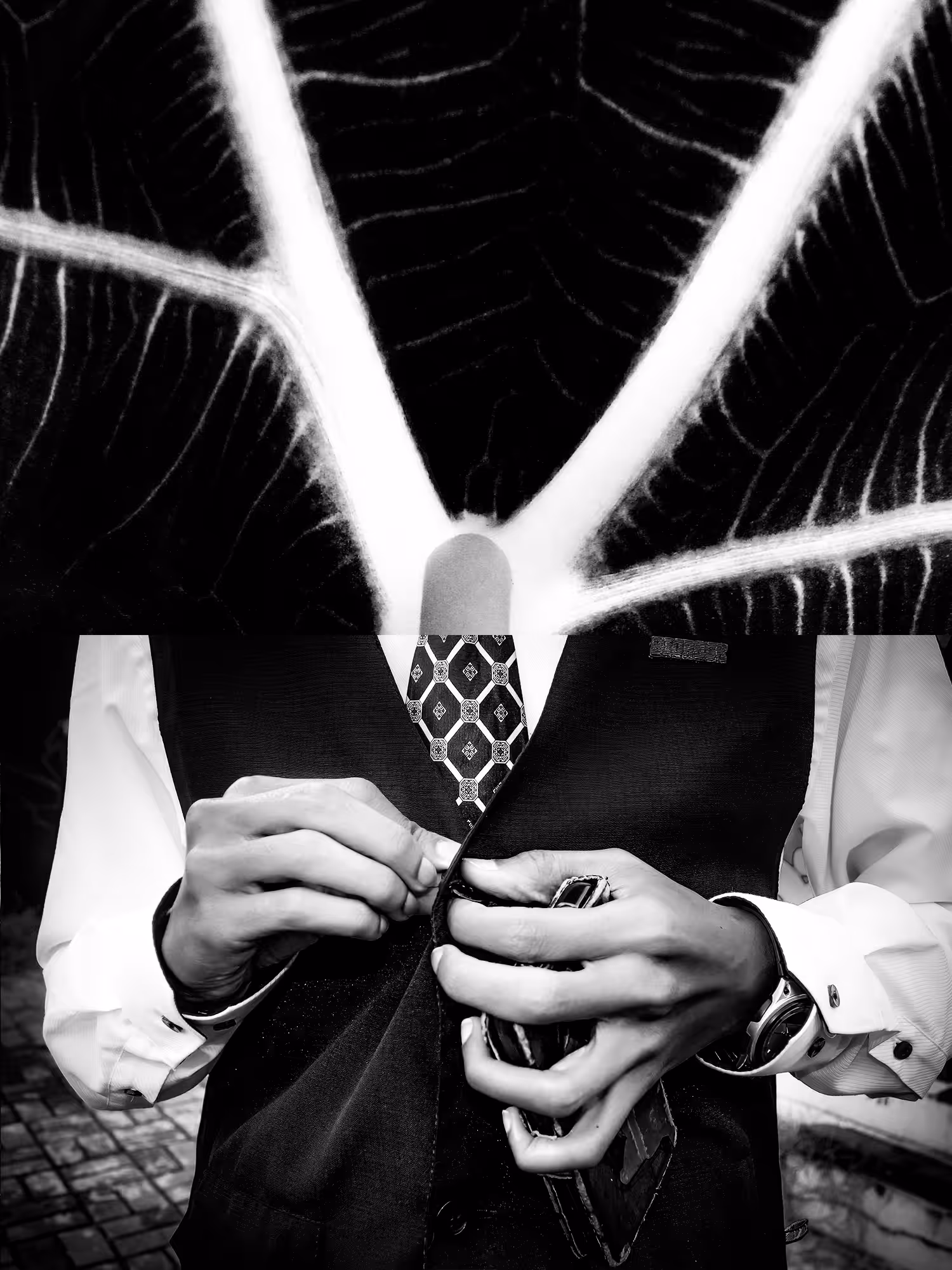 tie