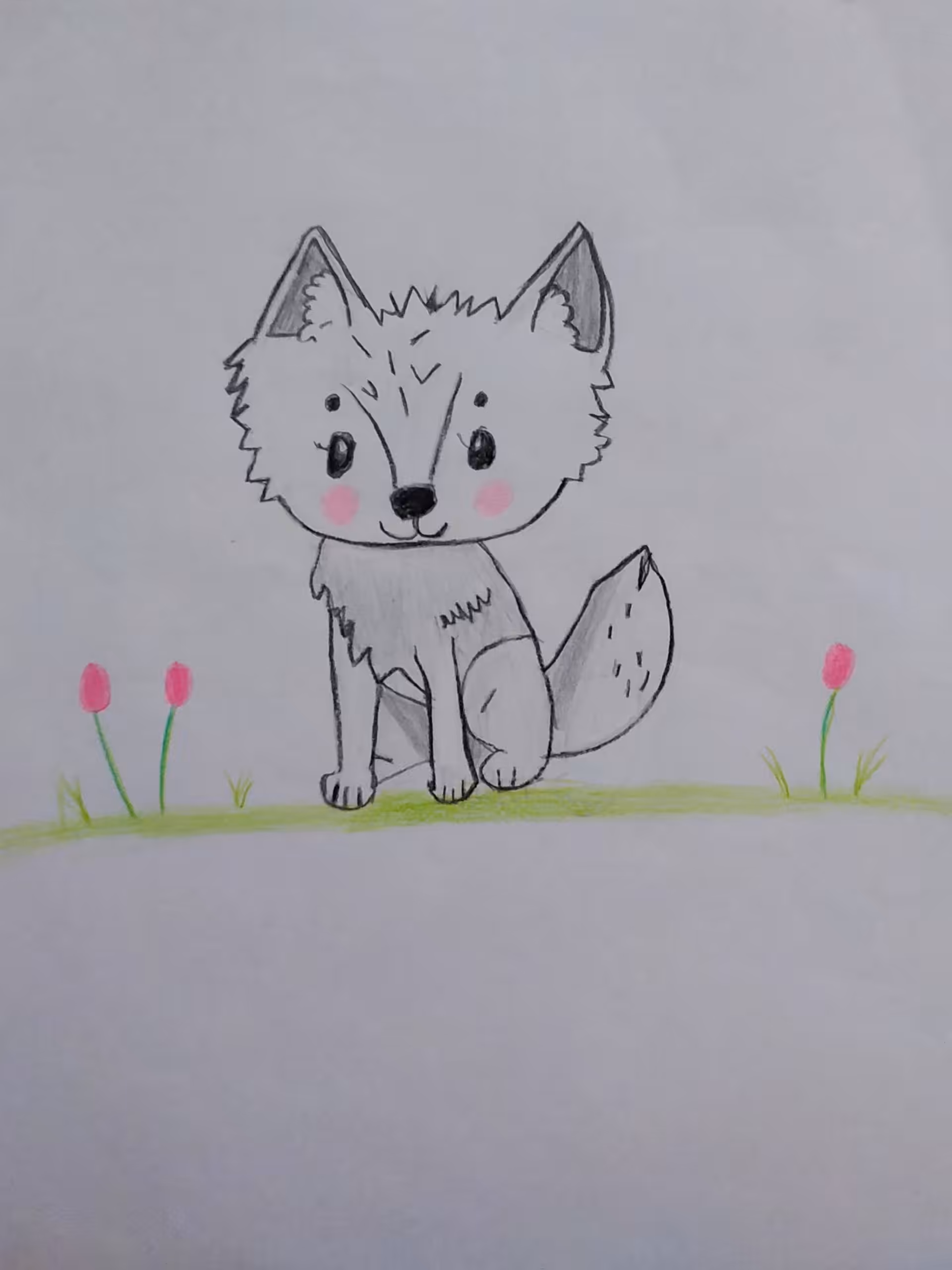 foxy