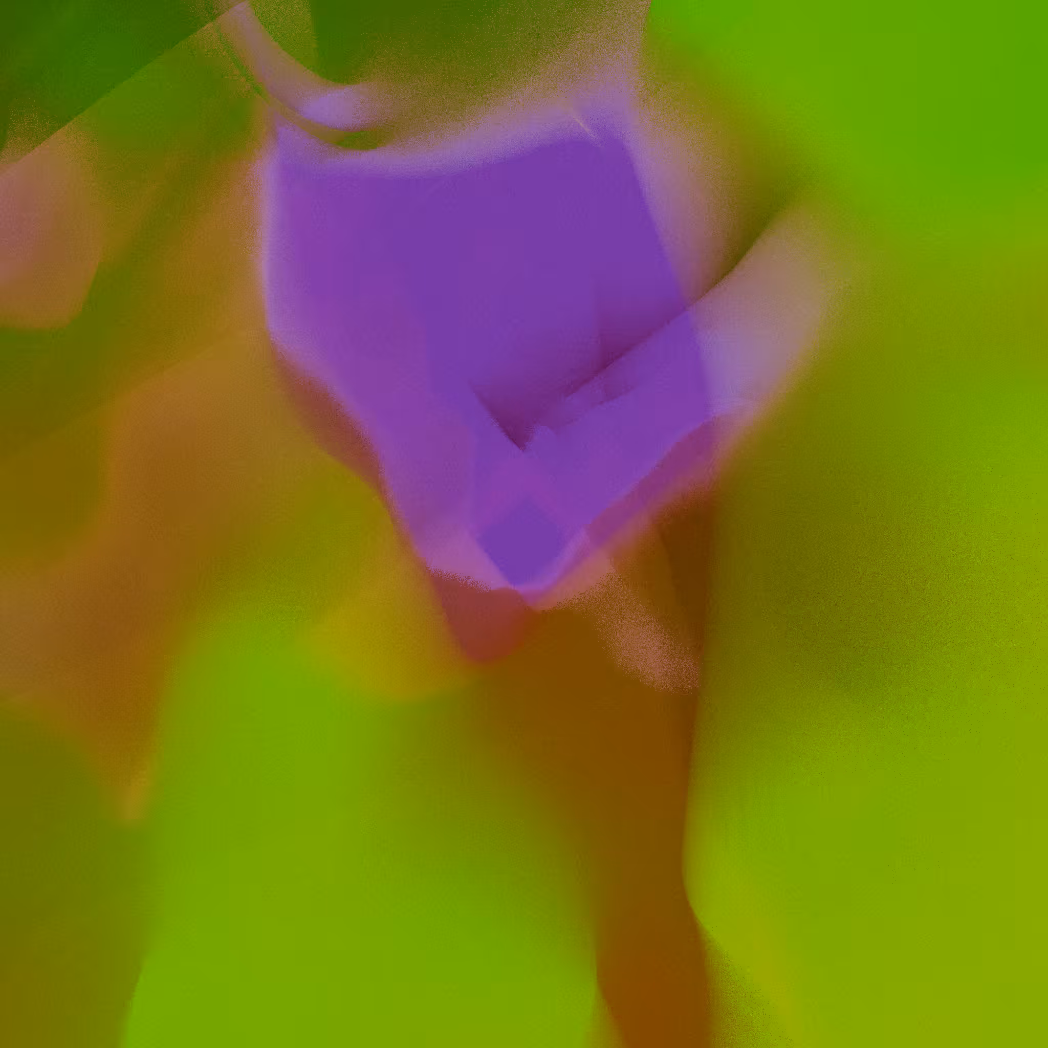 Ataraxis #245