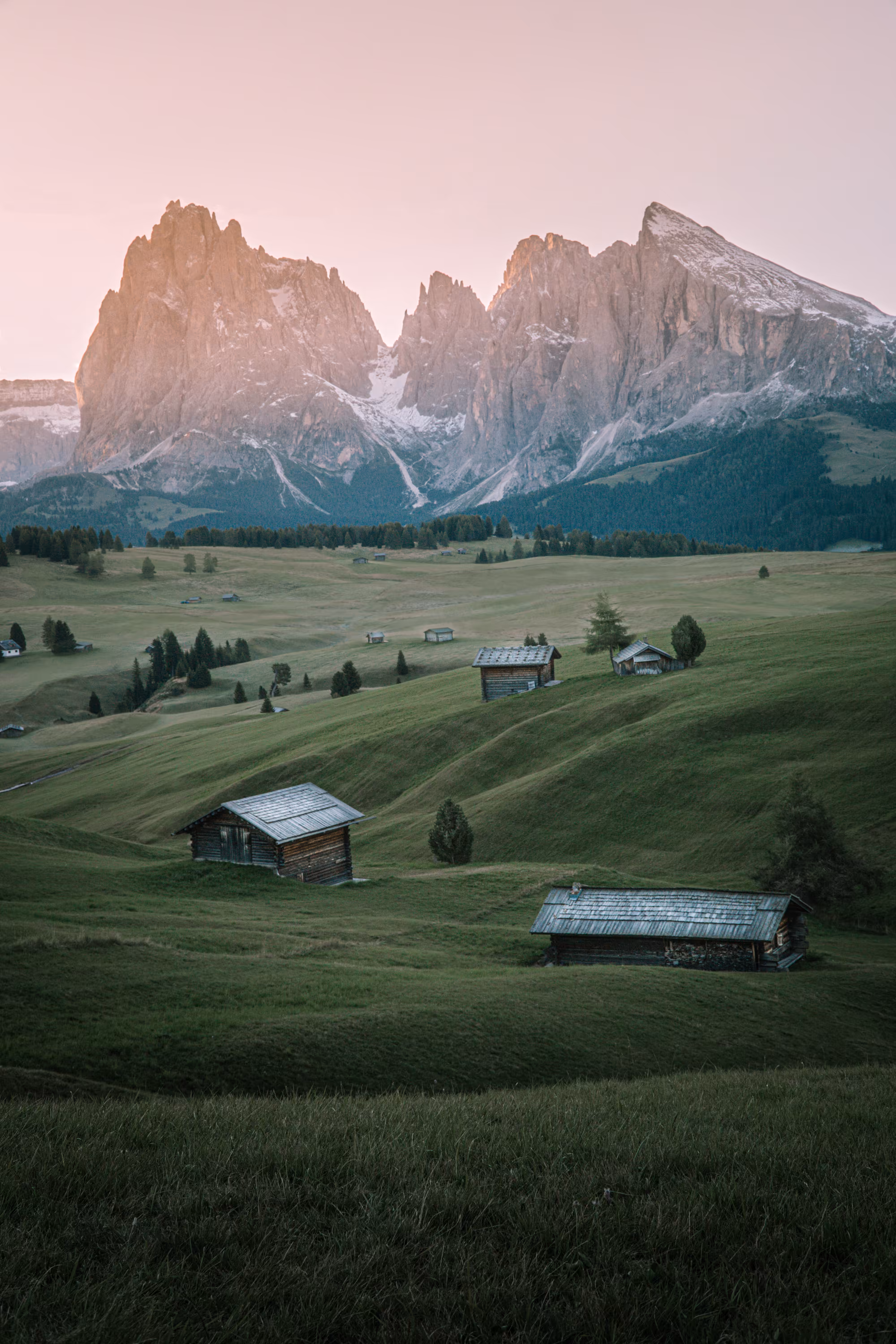 2 - Alpine Meadow