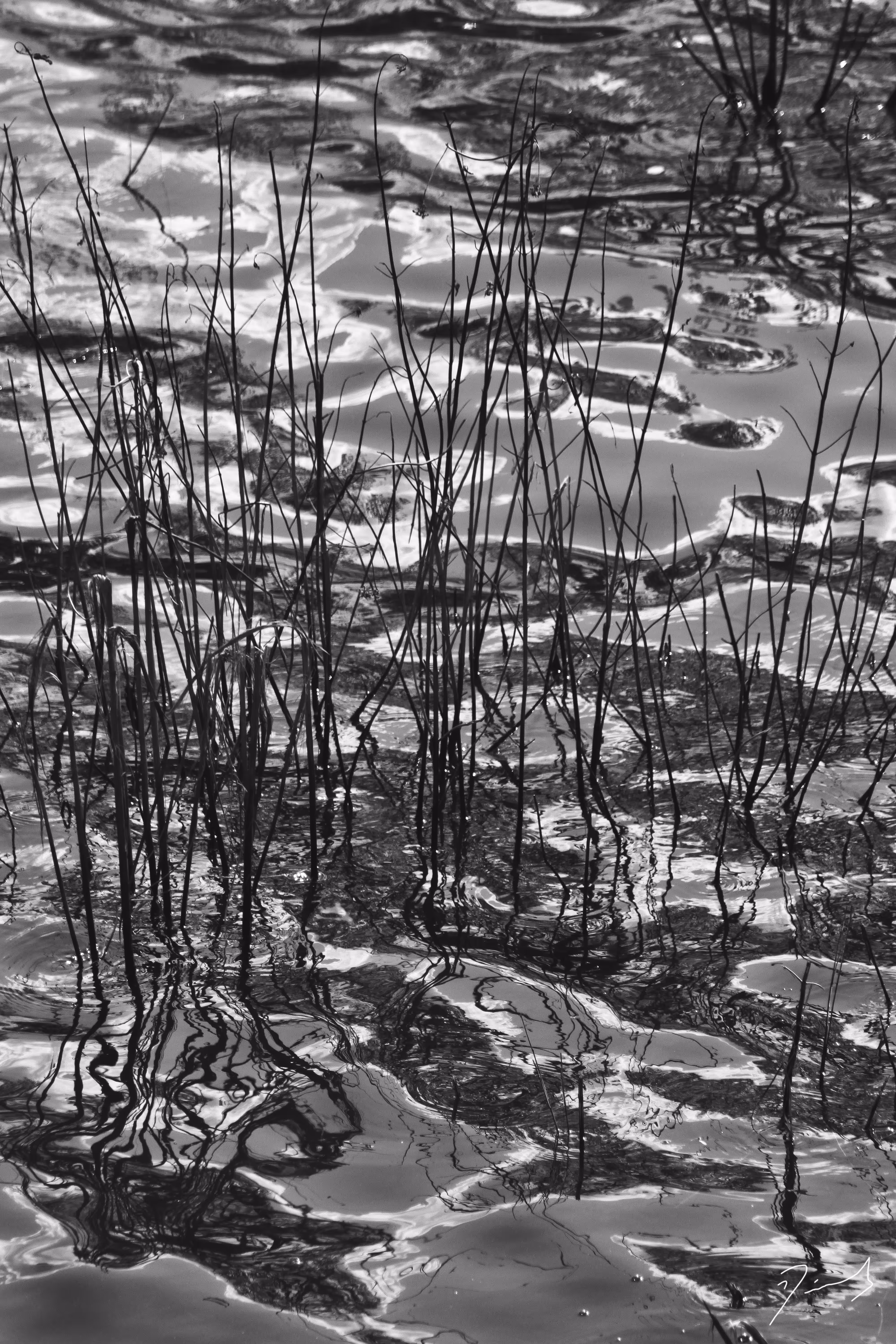 Abstracciones Naturales