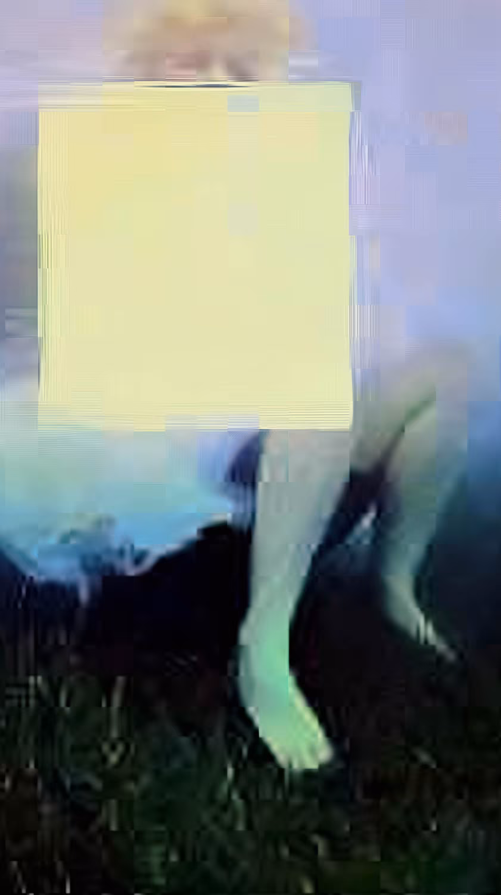 Ossagrosse - Downscale #21