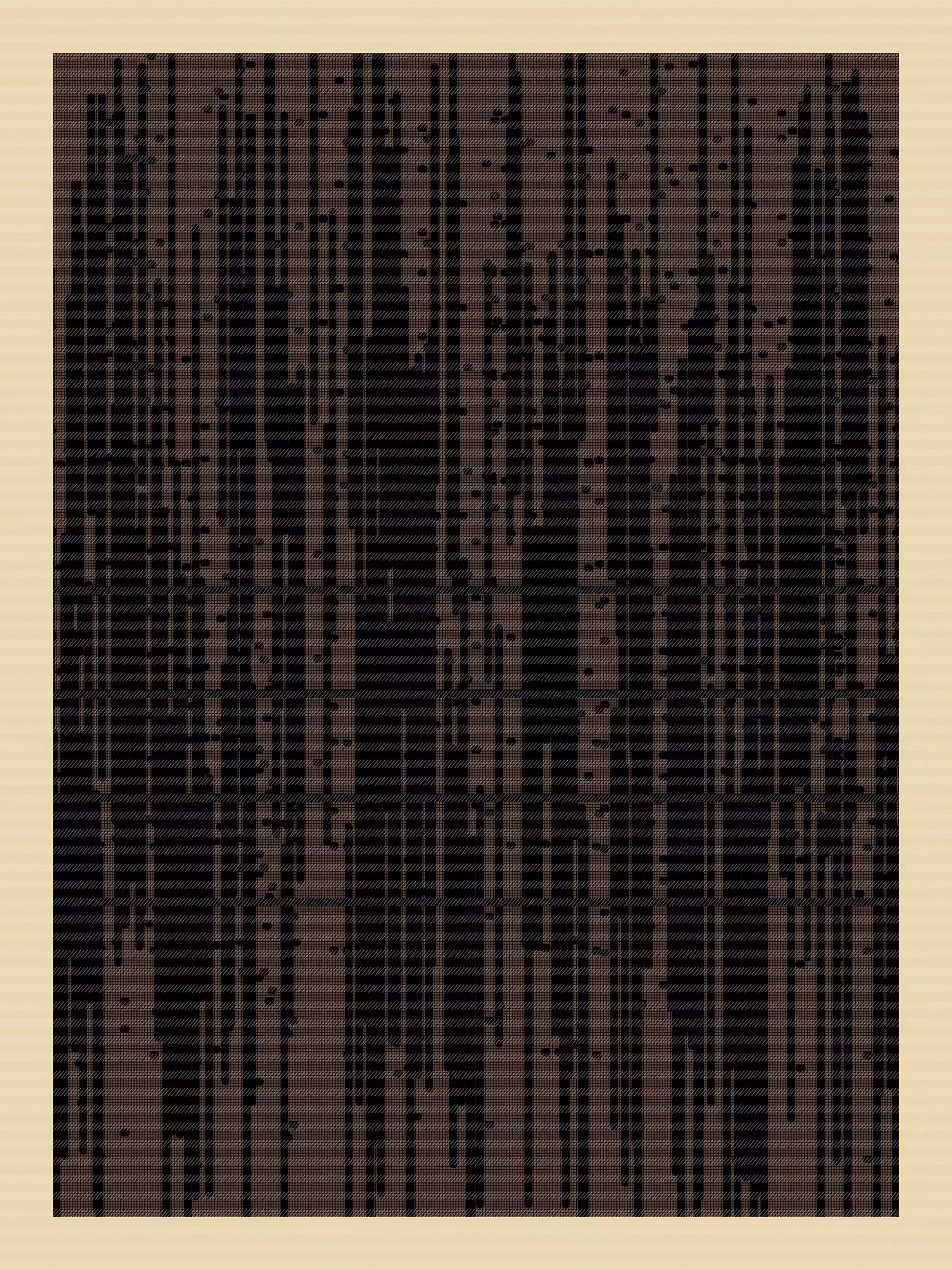 N01ZE GR1D #200