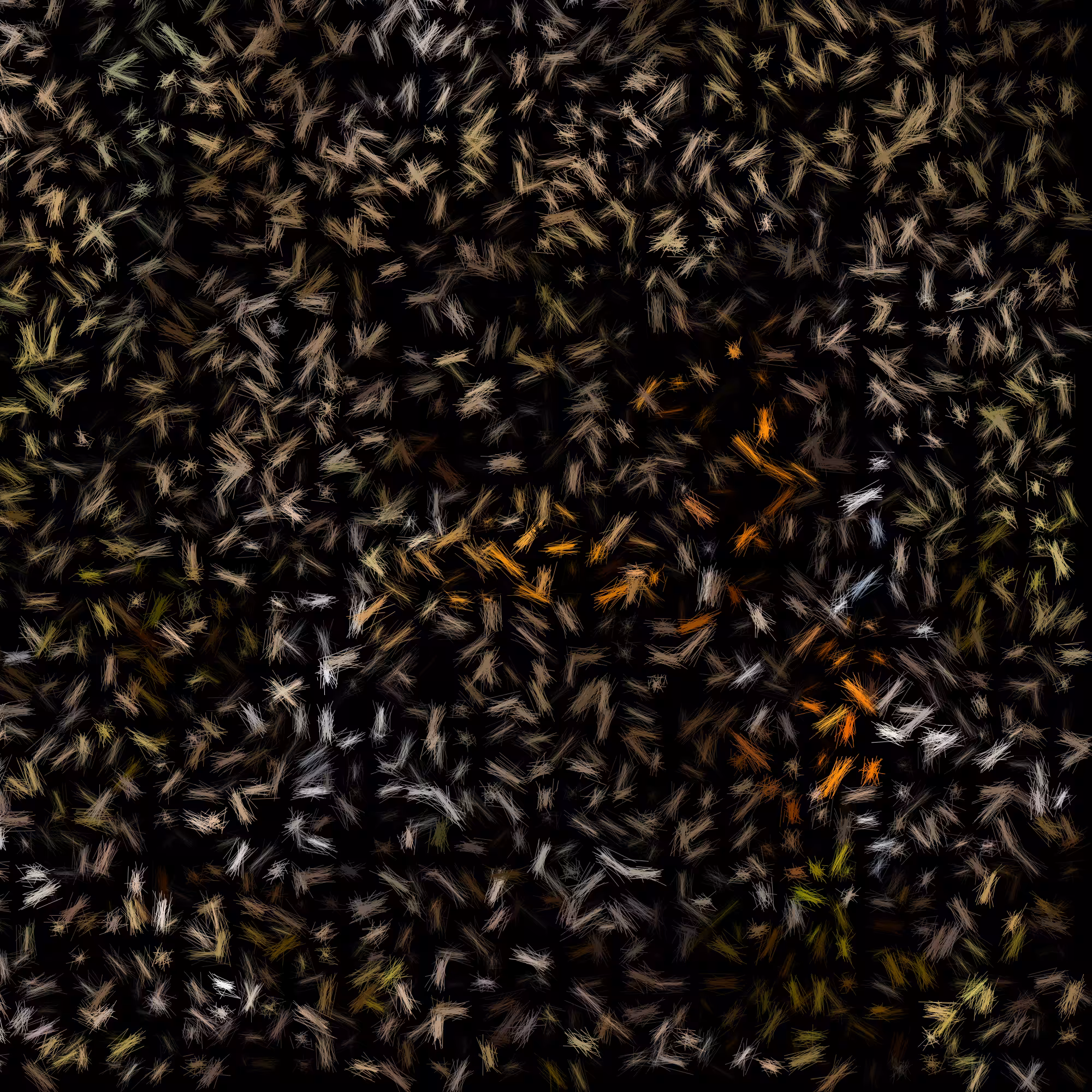 The Butterfly Effect #1