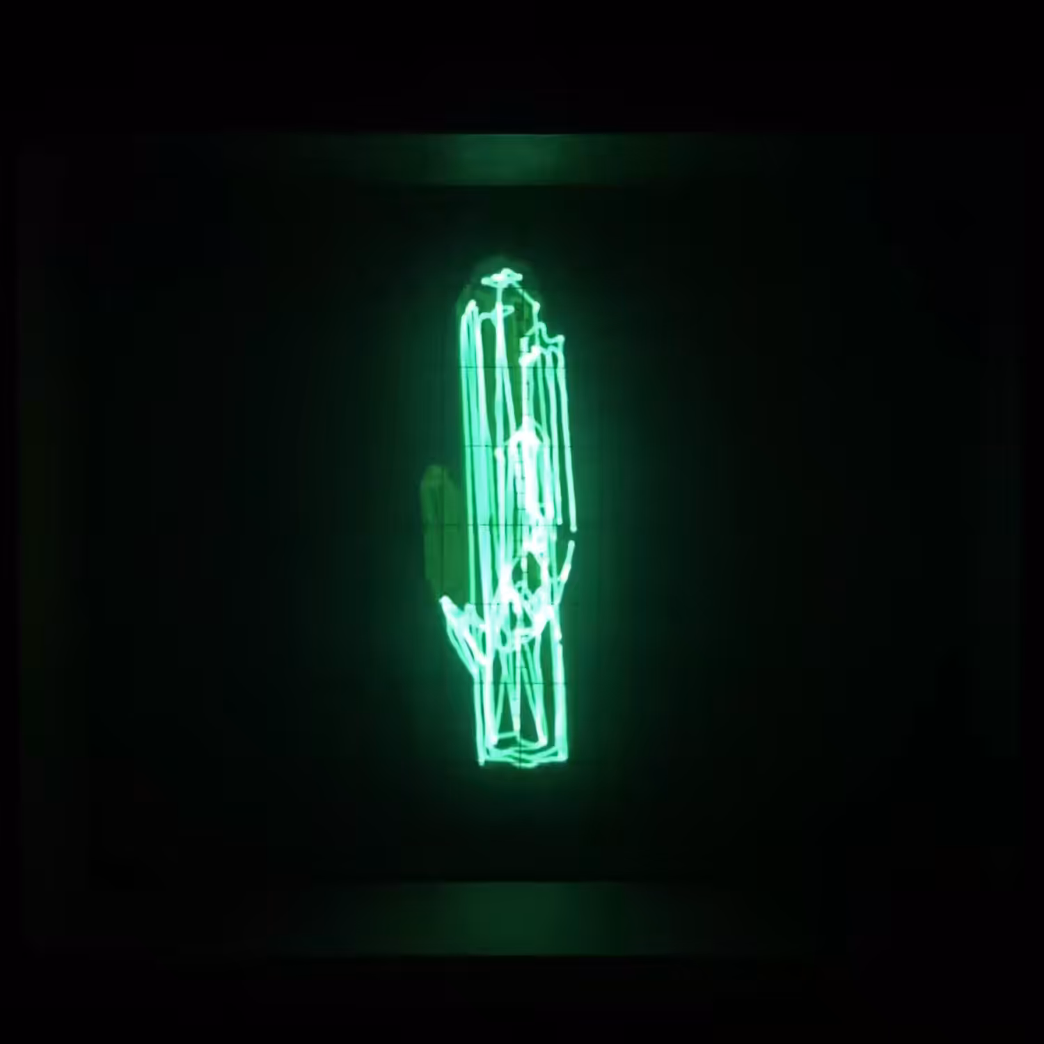 🌵
