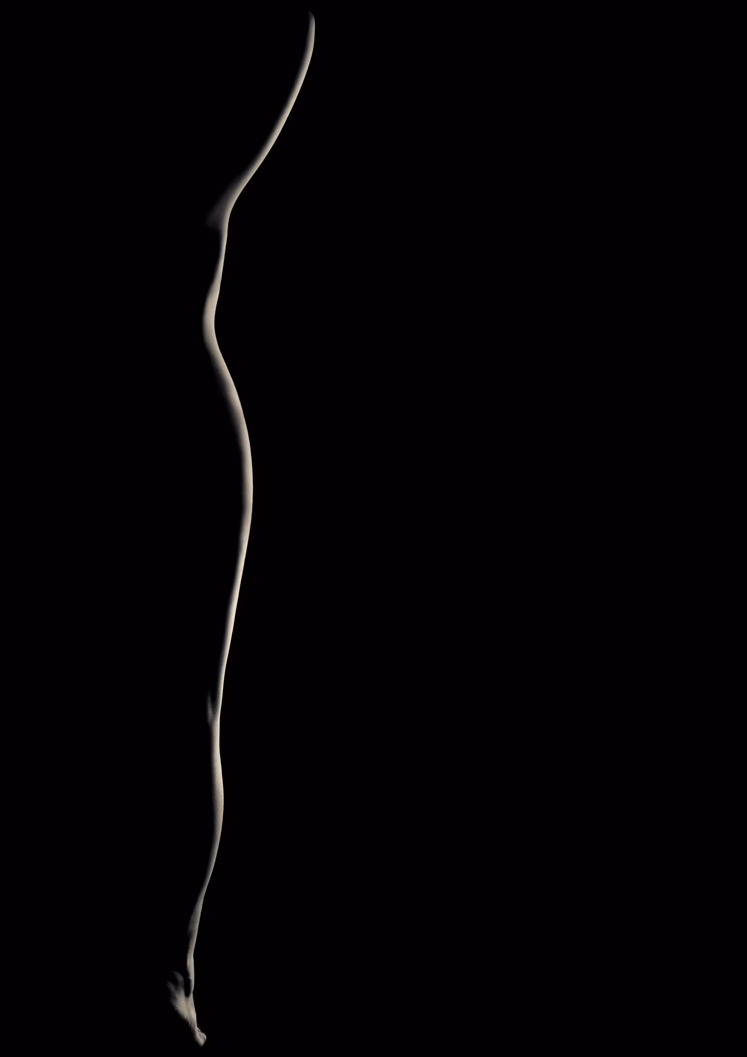 Lifeline photo