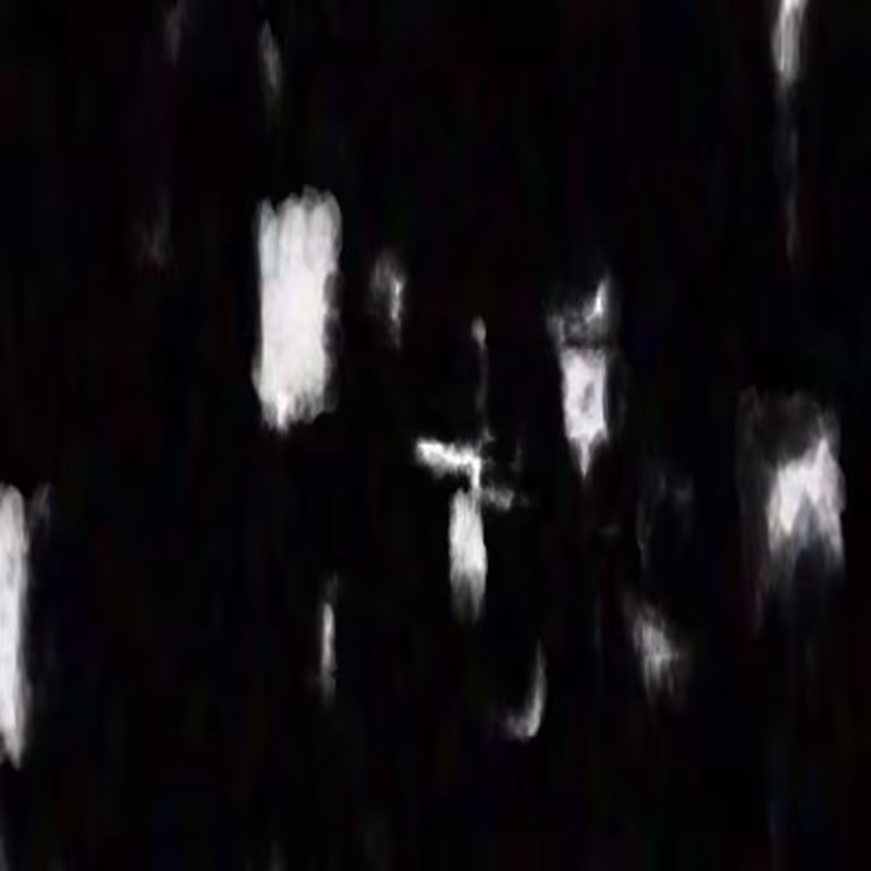 Abstract #53 #40