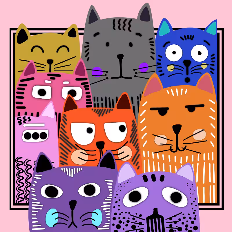 Kitty's Frame #51