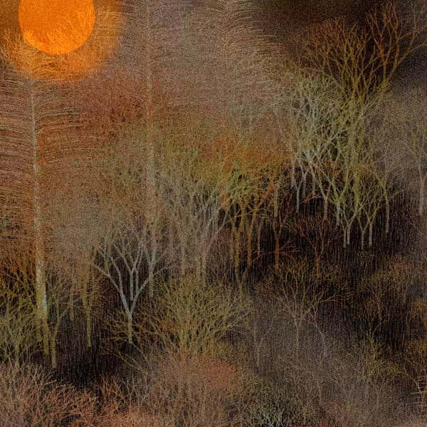 Moonlit Native Bush #16