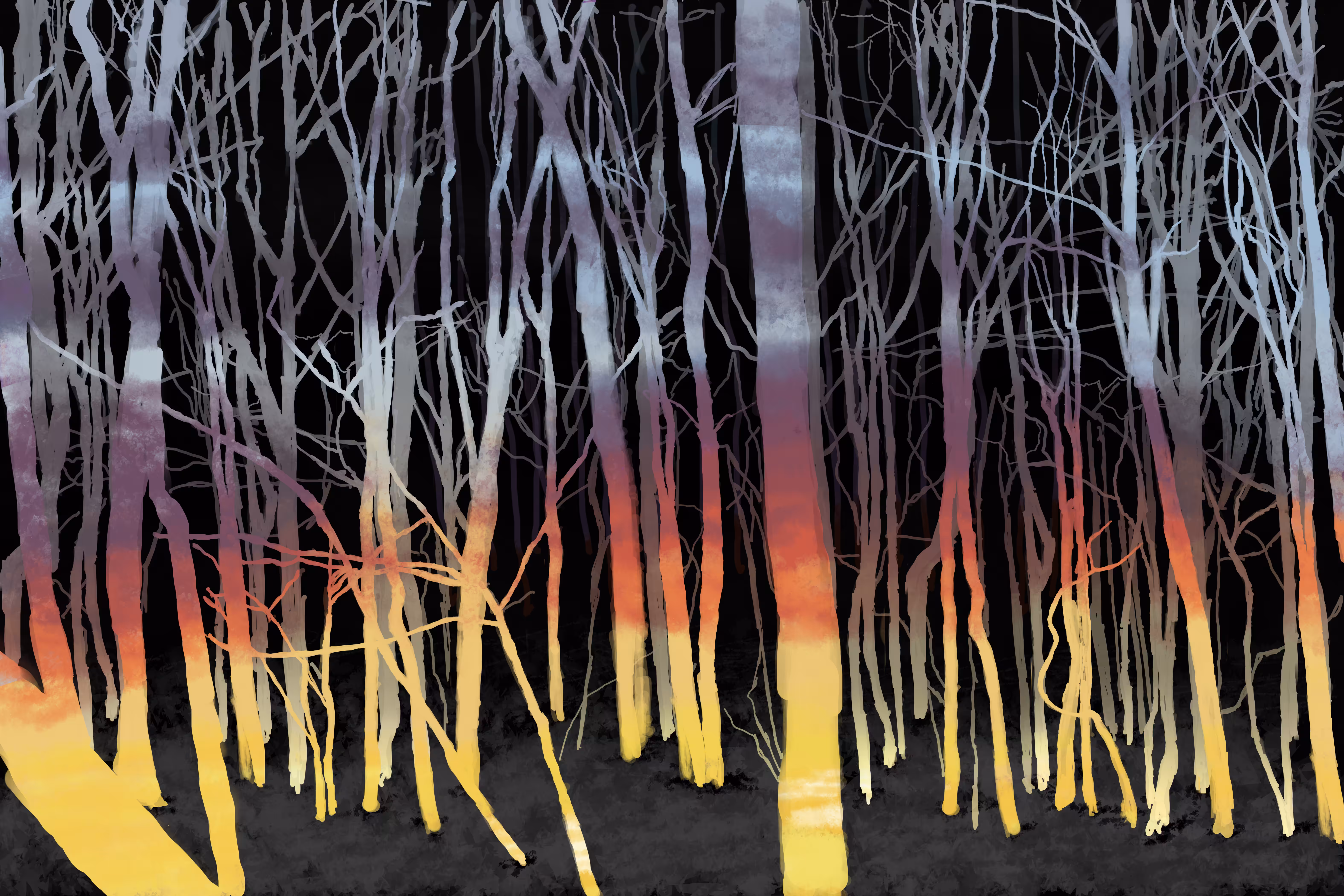 Trees in Evening Twilight