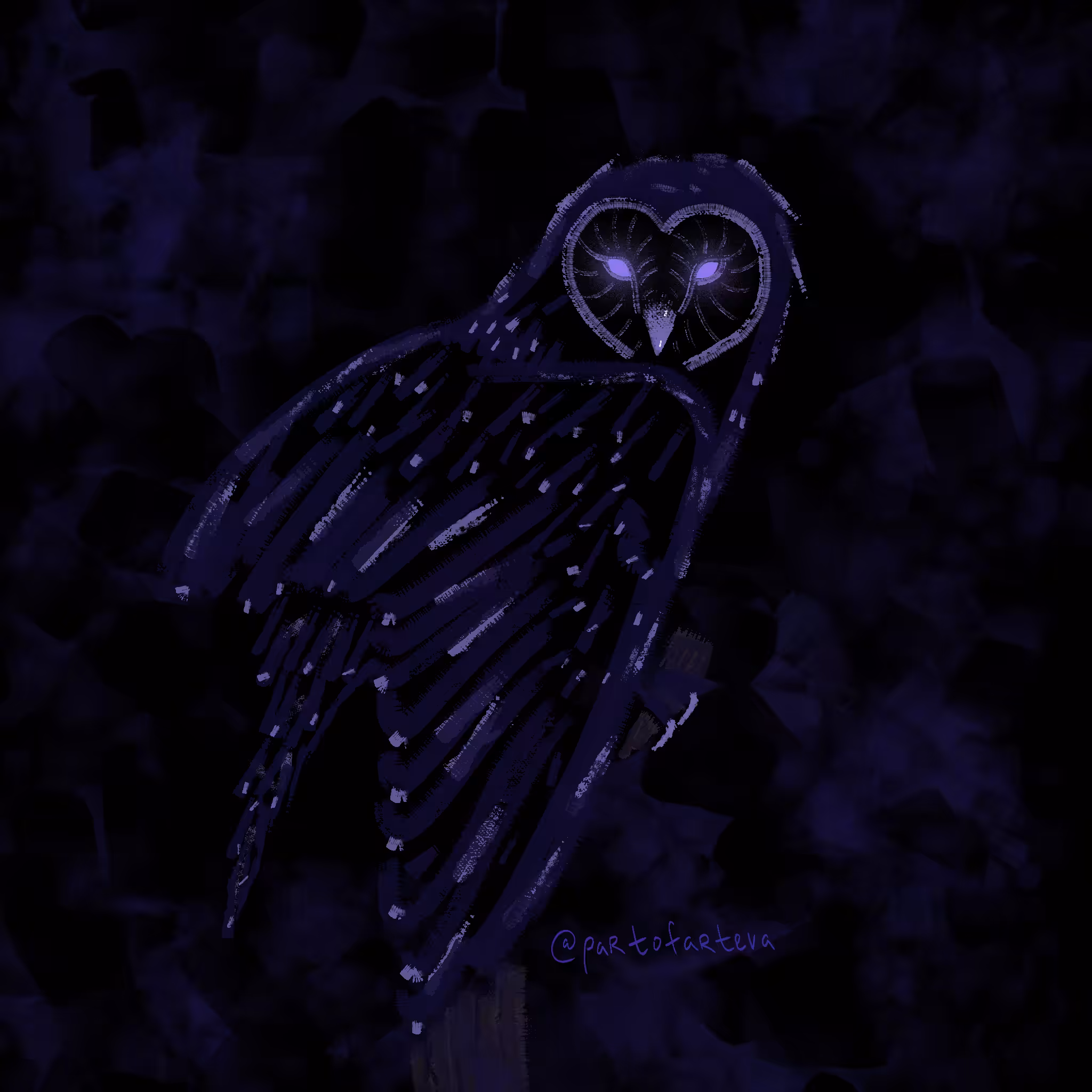 Barn owl Tenebris